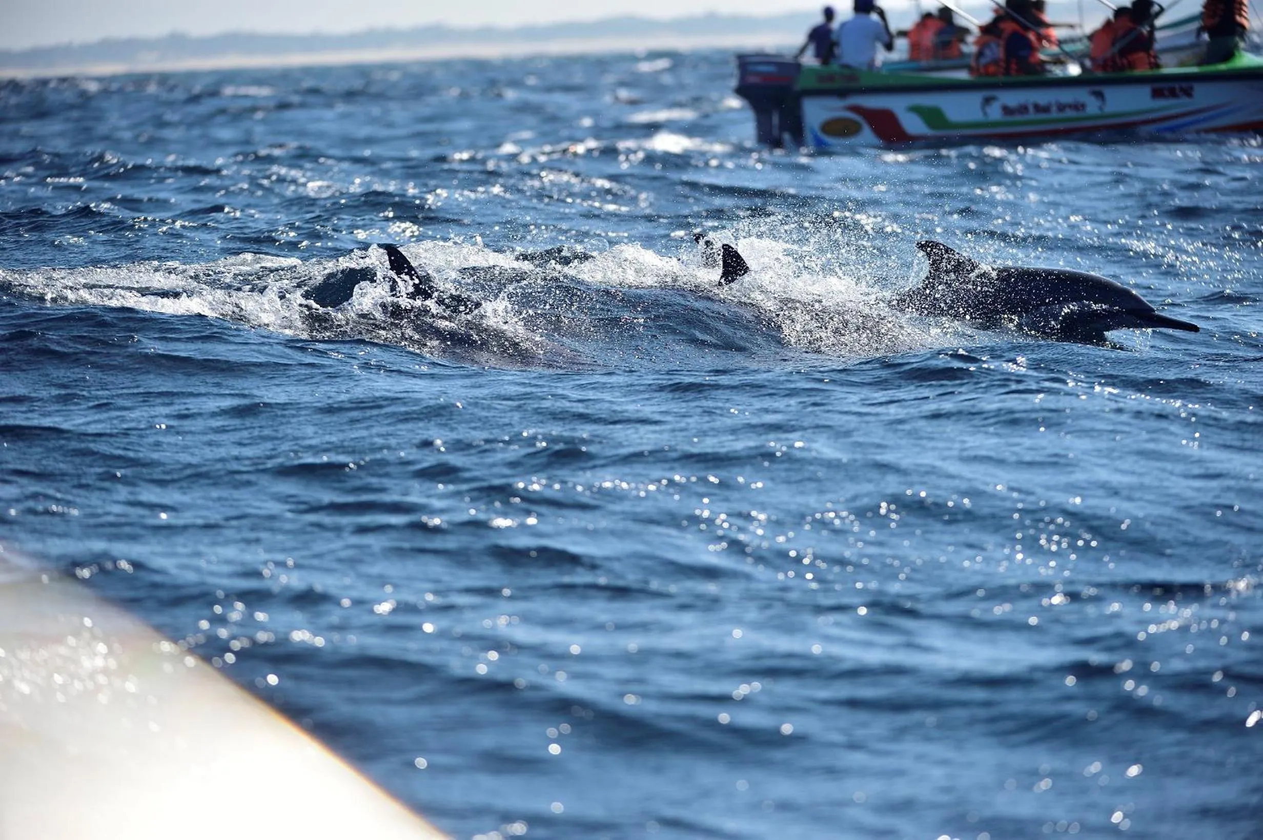 Fishing in Majestic Beach Retreat