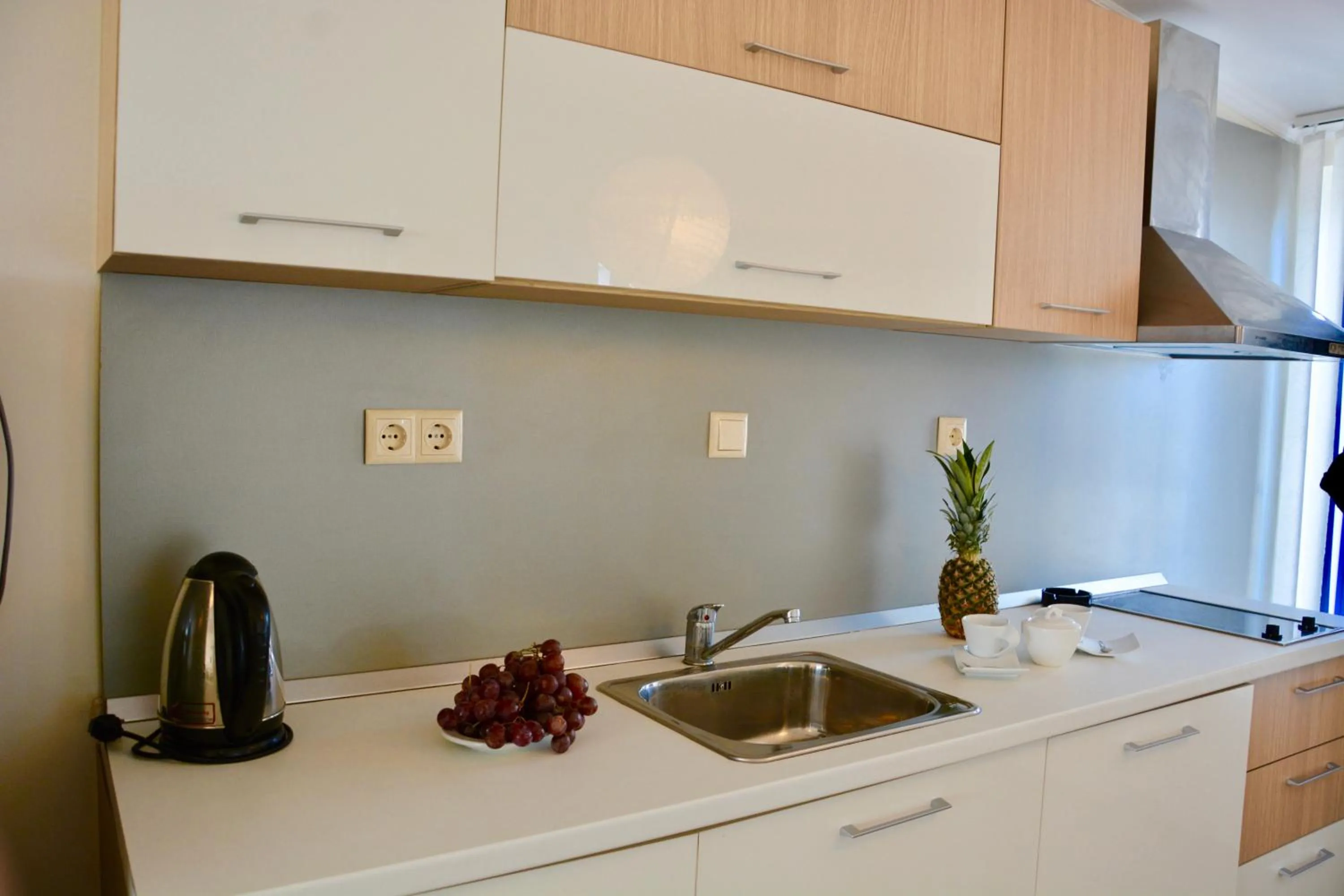 Kitchen or kitchenette in Rainbow 1 Holiday Complex