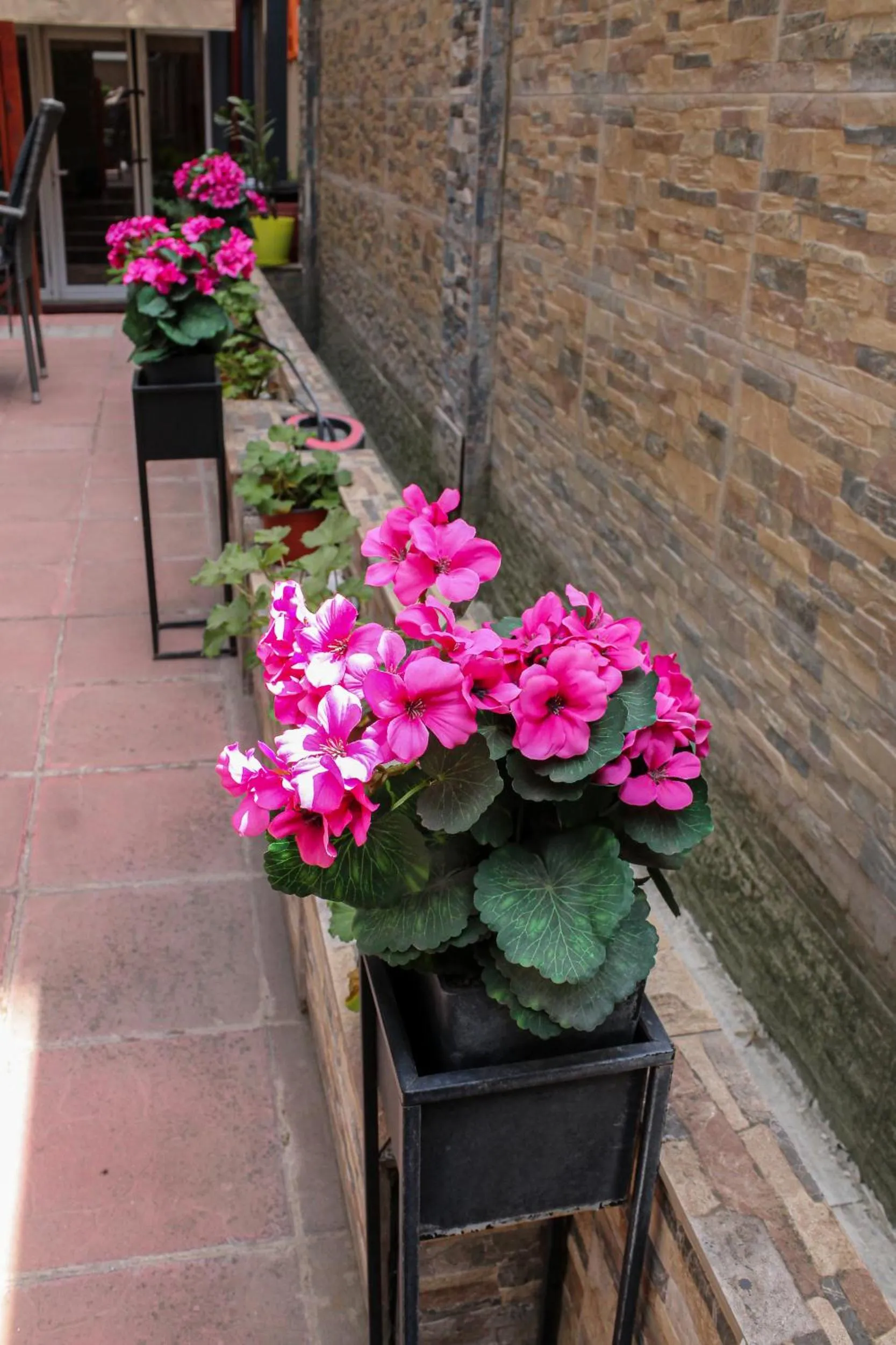 Garden in Bed and Breakfast Majesty