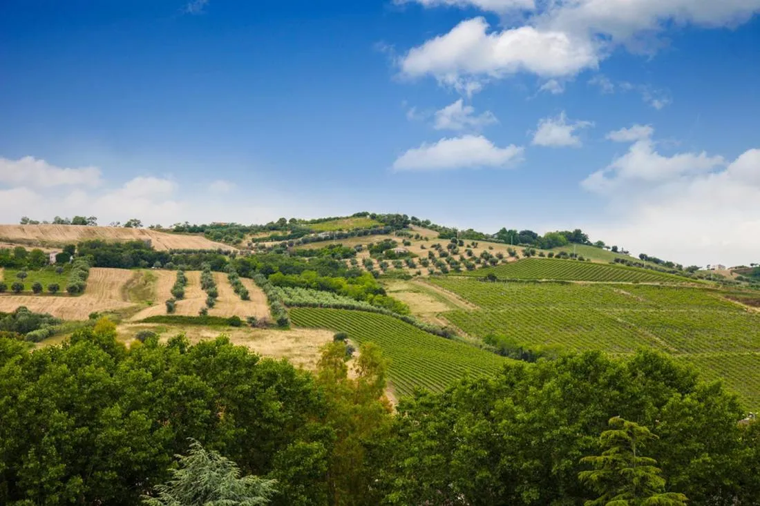 Hotel Parco Dei Principi