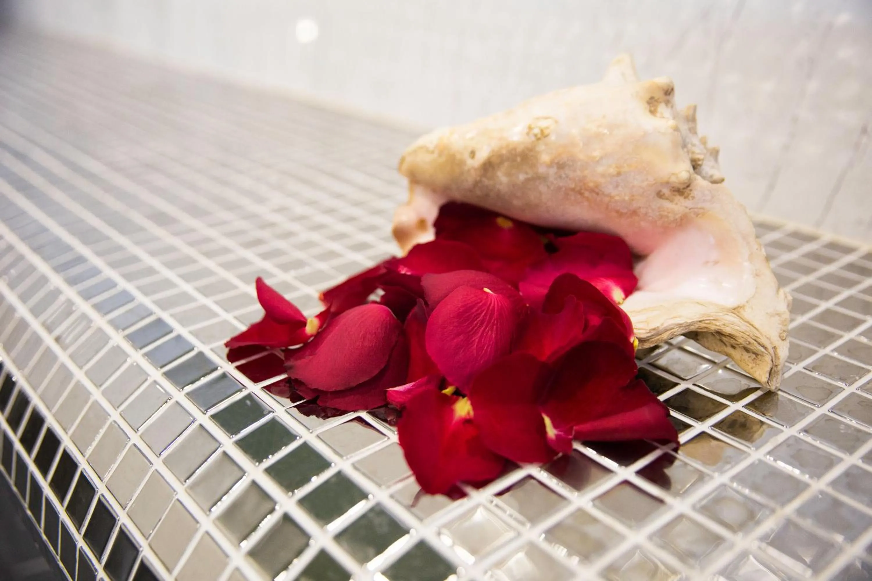 Sauna in SPA Hotel Sirius Beach - FREE SPA access, Full Board and drinks incl