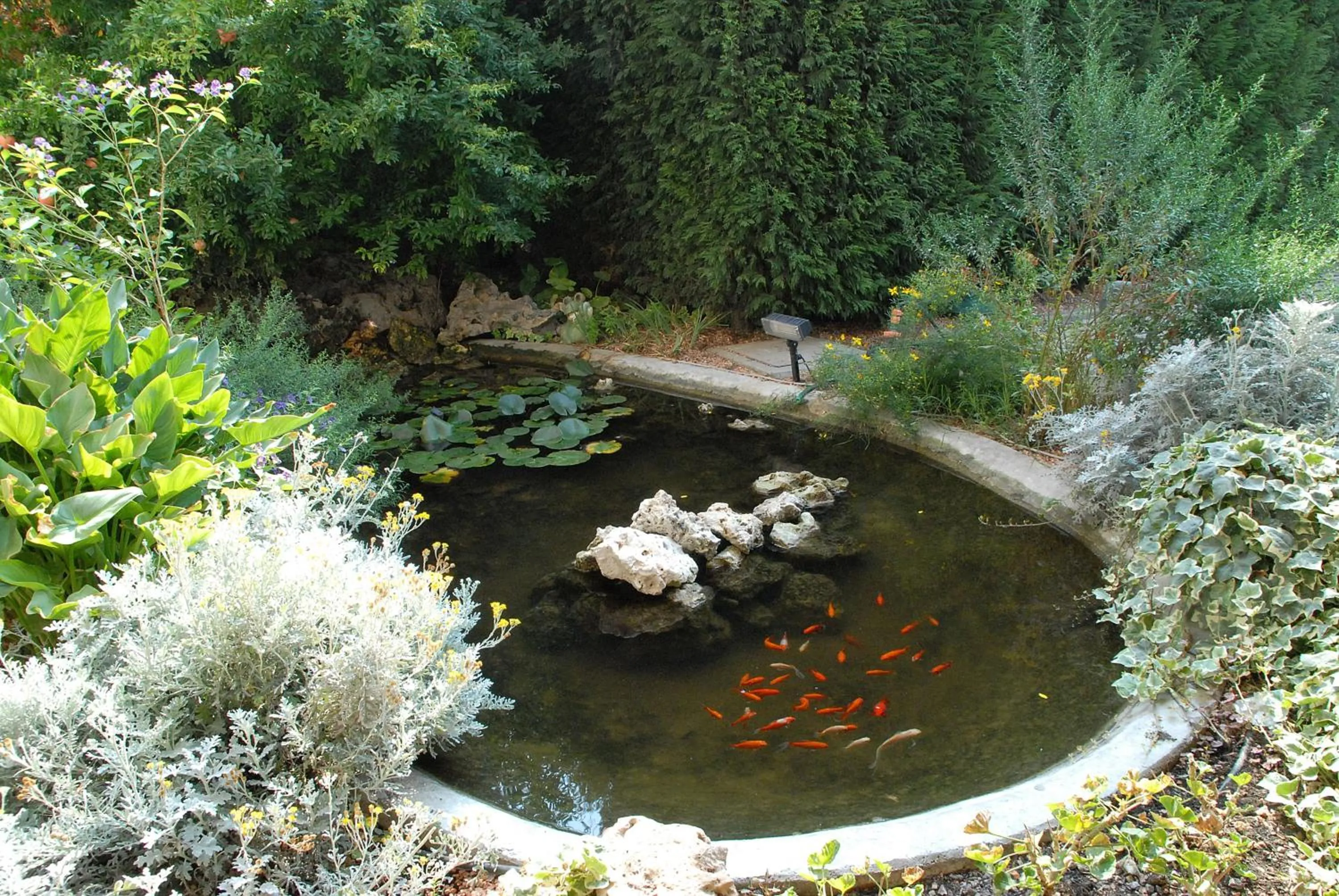 Other in Hotel La Fenice