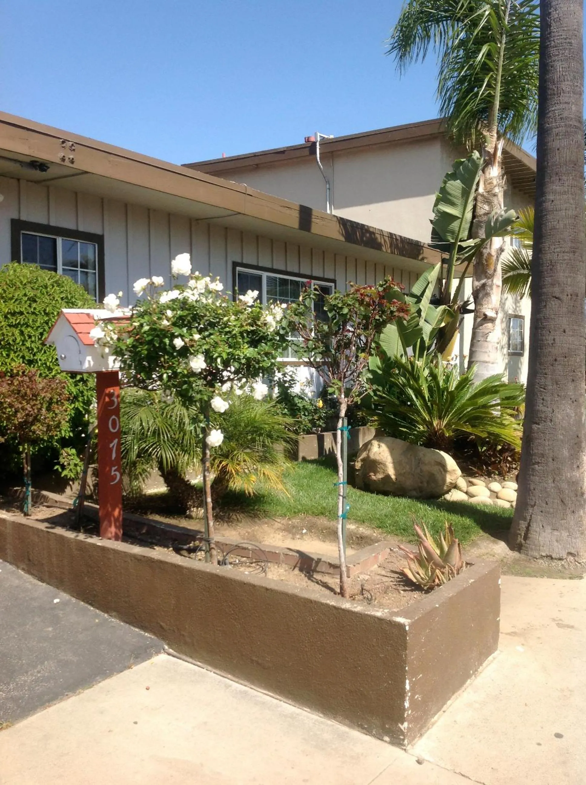 Garden in Bayshore Inn Ventura