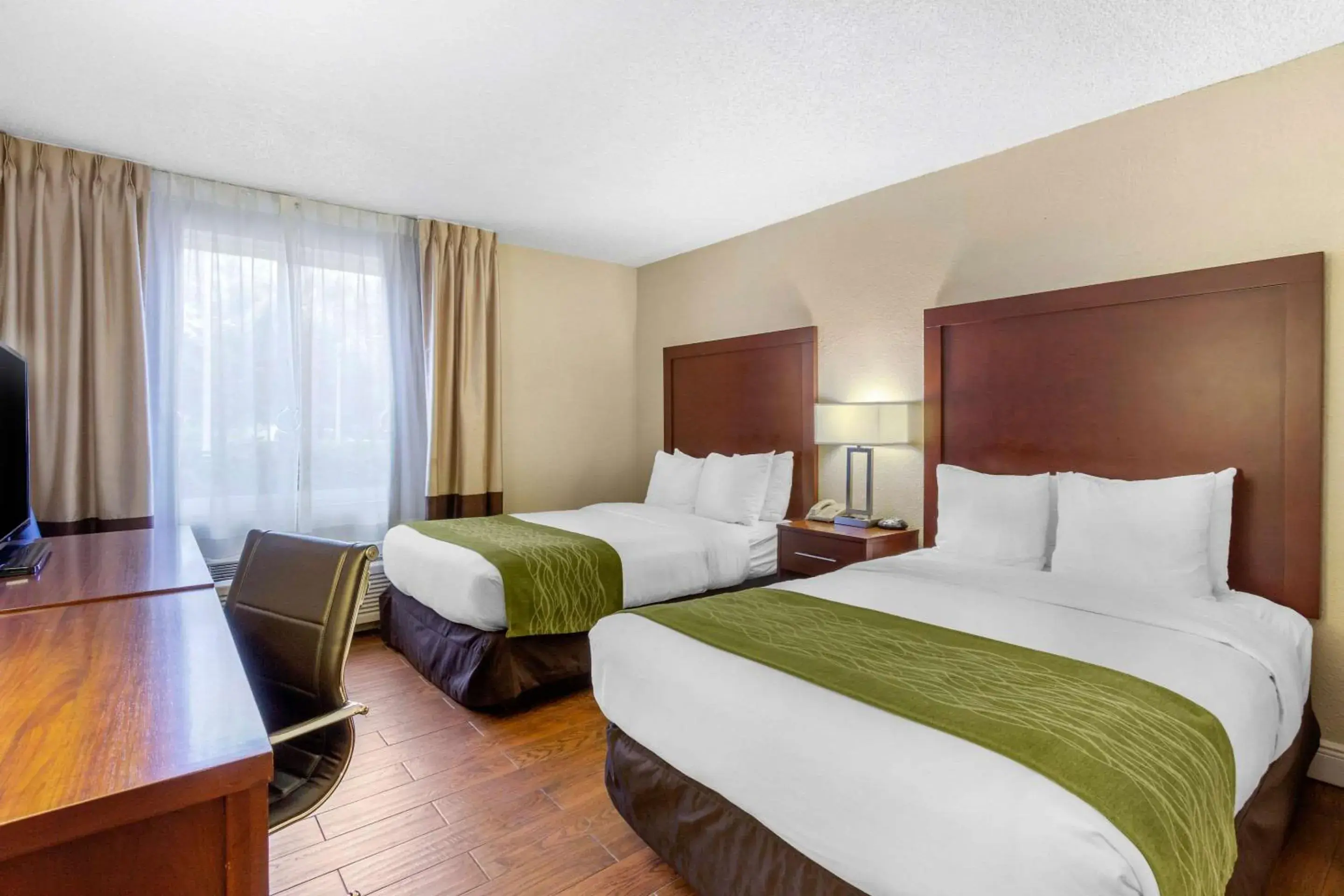 Bedroom, Bed in Comfort Inn St Petersburg North Bedroom, Bed in Comfort Inn St Petersburg North