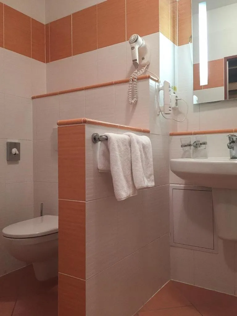 Toilet in LIPNO WELLNESS - FRYMBURK HOTEL private family room