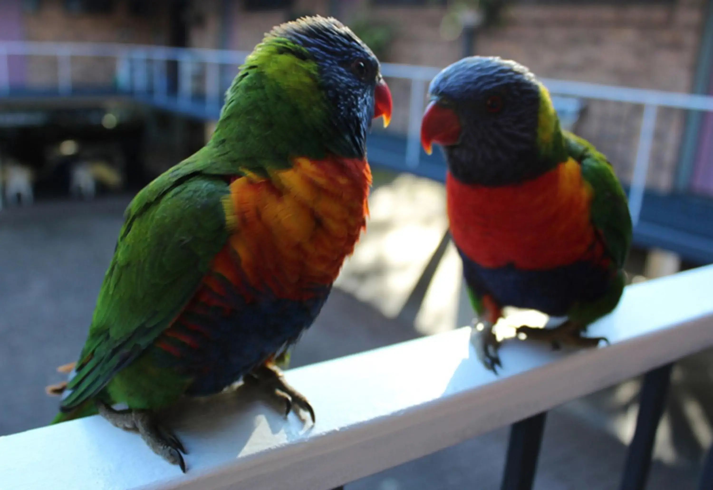 Facade/entrance in Port Stephens Motel Facade/entrance in Port Stephens Motel