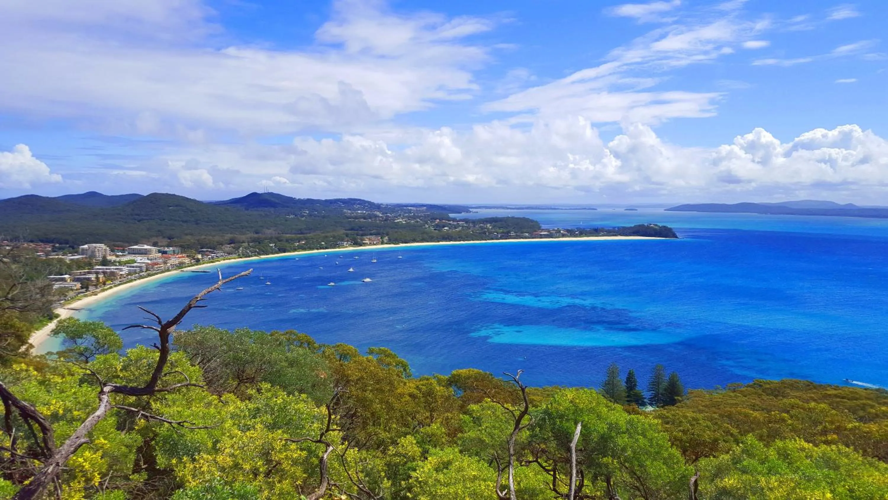 Spring in Port Stephens Motel