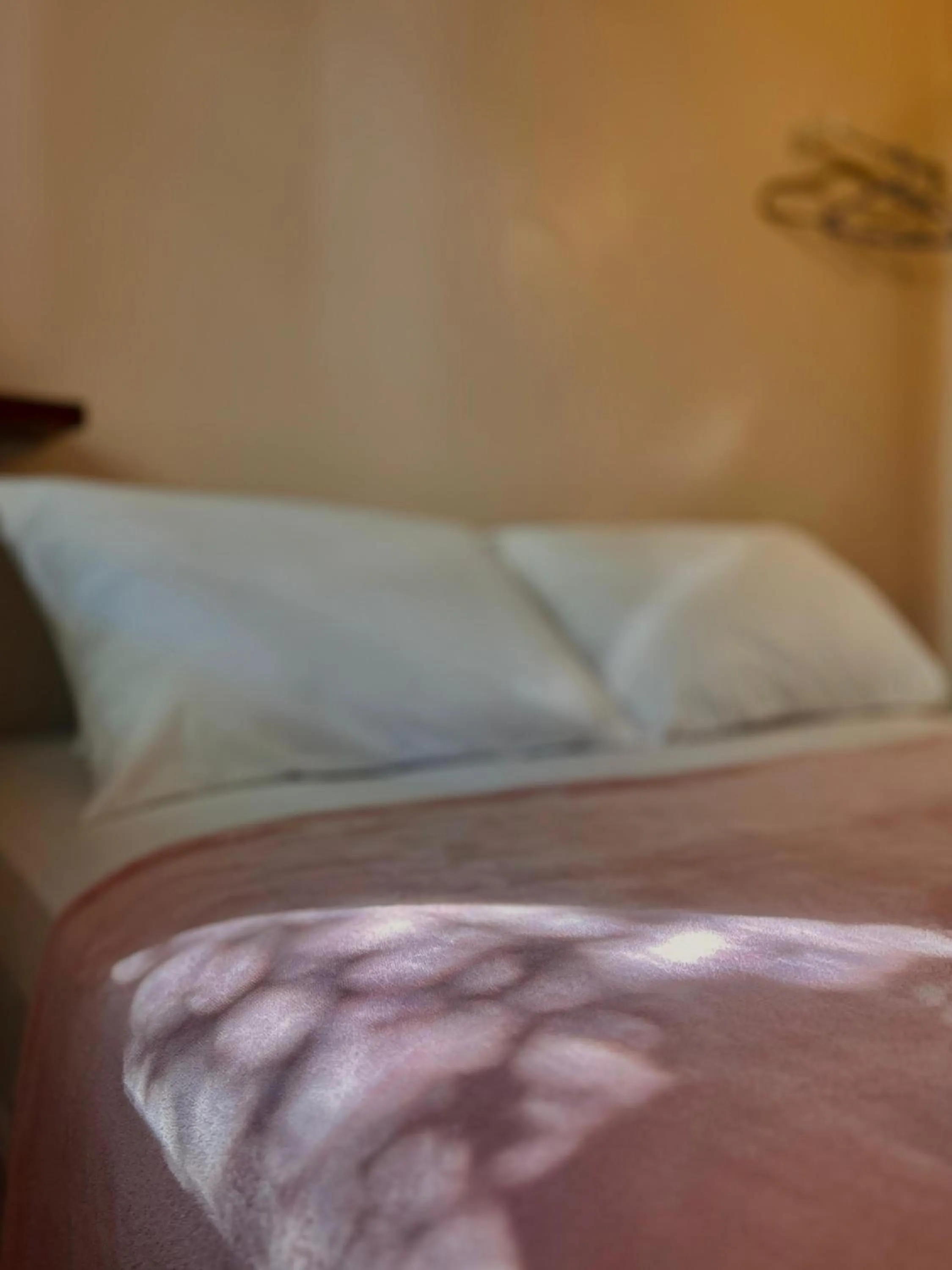 Bed in Bougainville Suítes