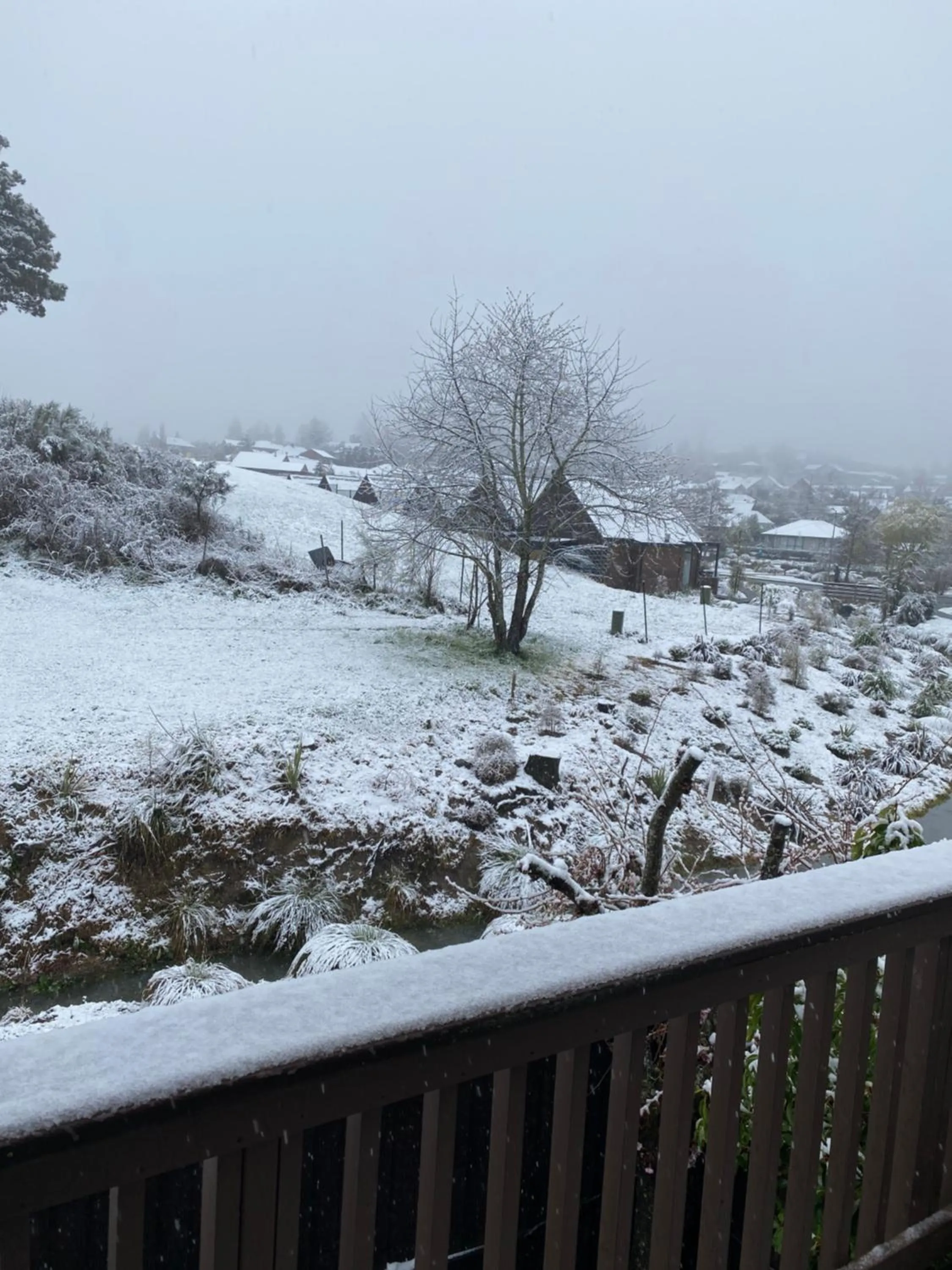 View (from property/room) in ASURE Hanmer Inn Motel Hanmer Springs