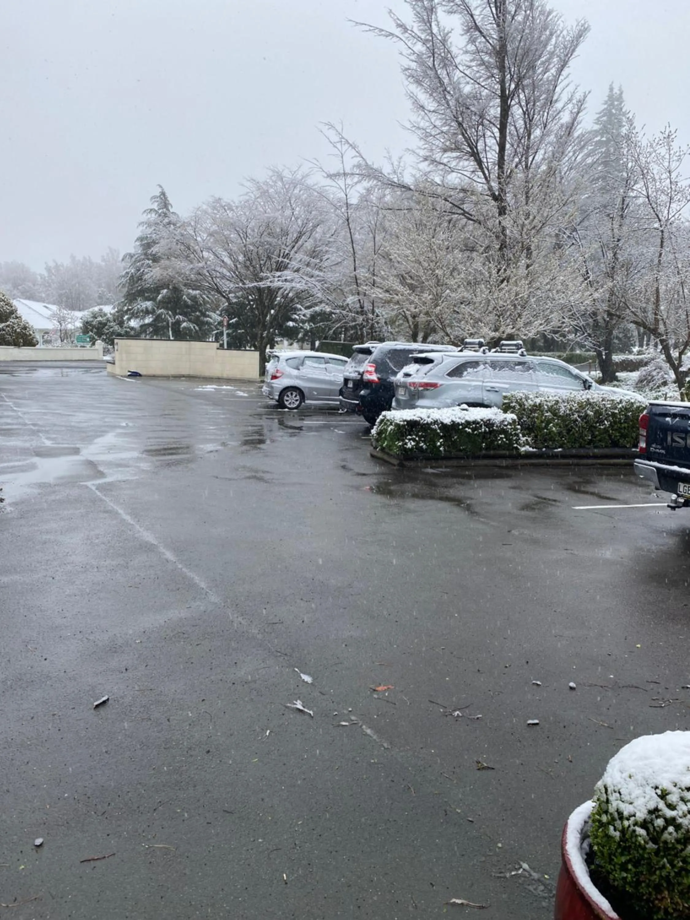 Area and facilities in ASURE Hanmer Inn Motel Hanmer Springs