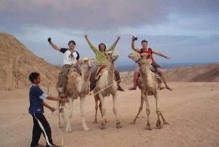 Entertainment in Neptune Hotel