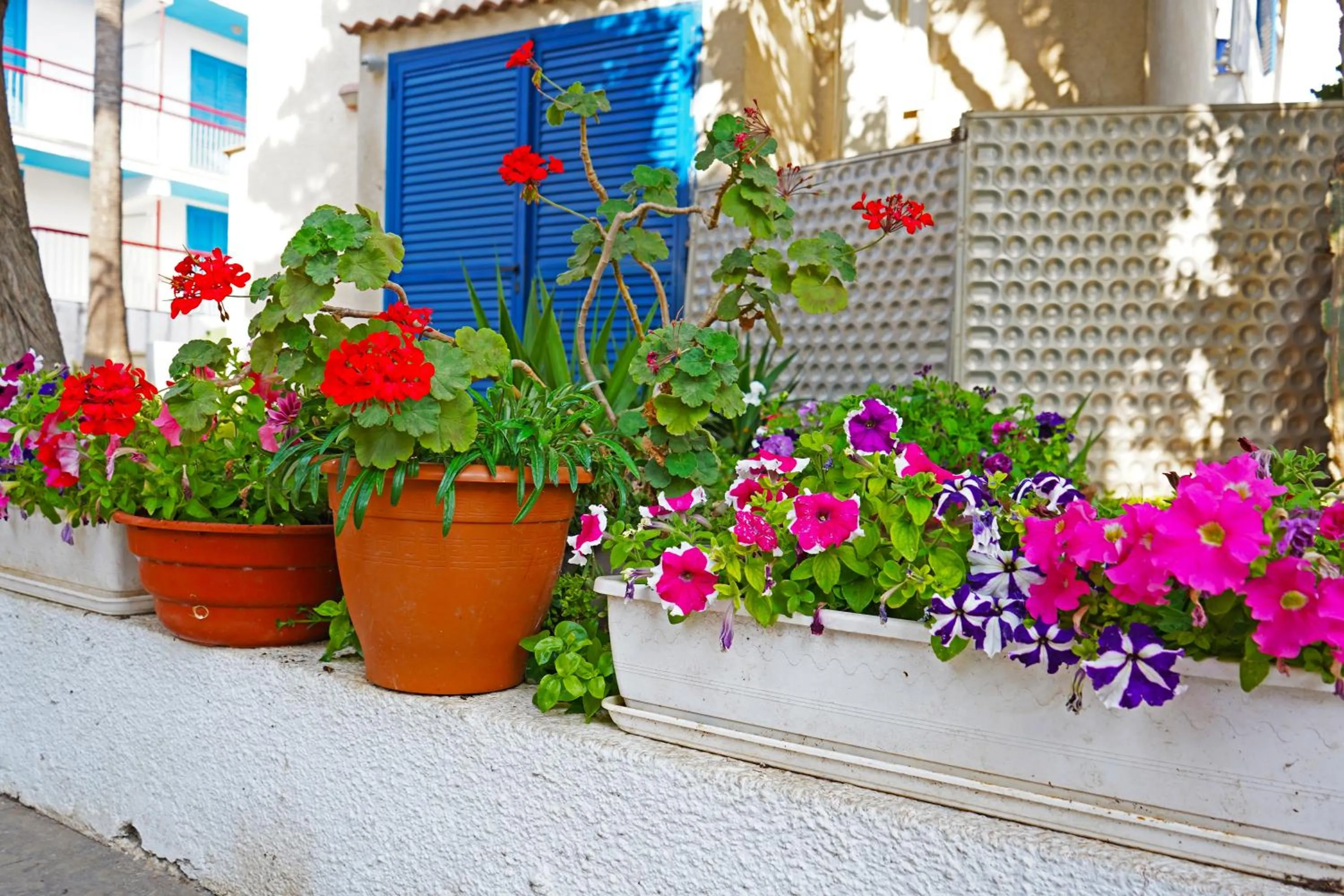 Day in Green Bungalows Hotel Apartments - Residents Only