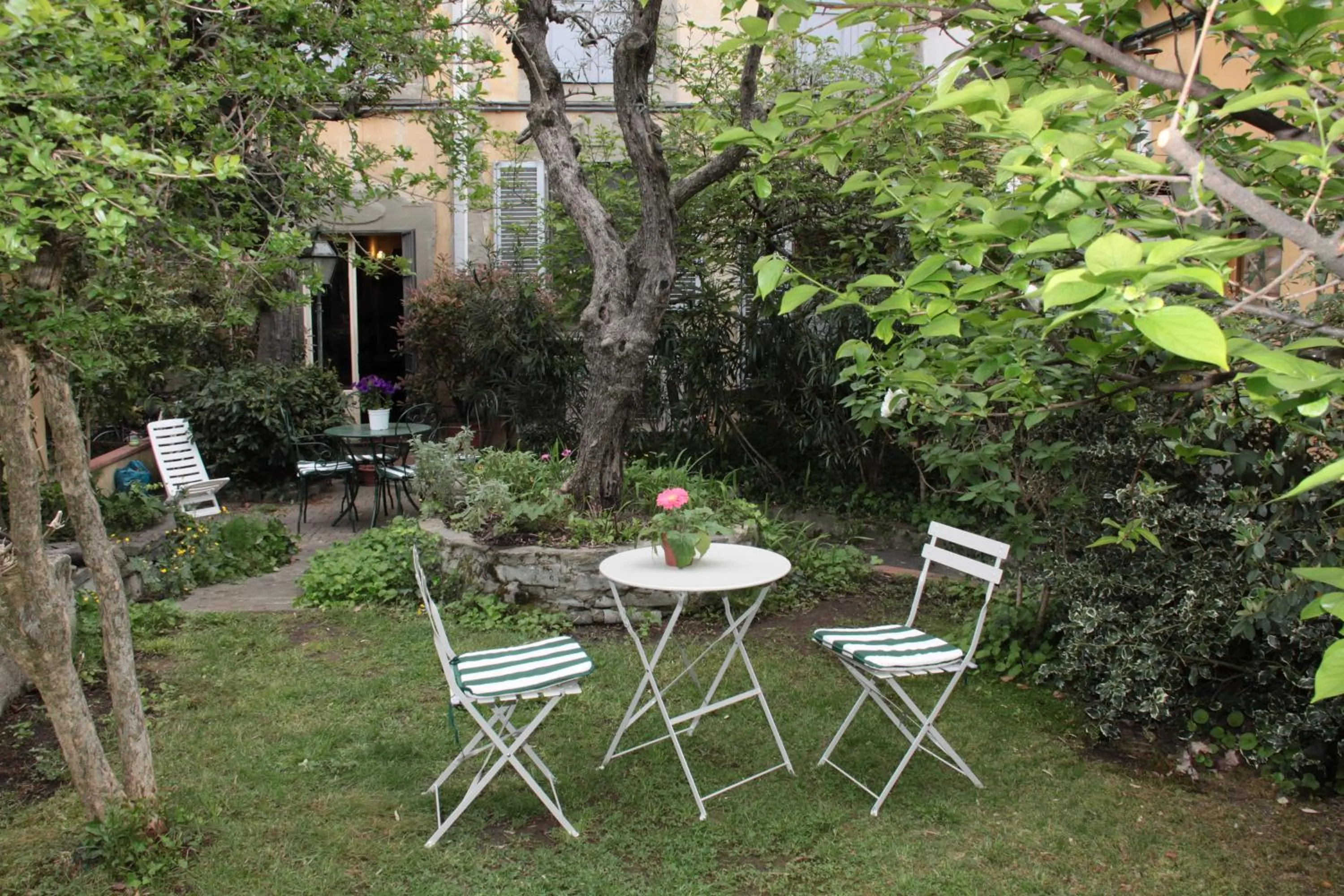Garden in Domus Giorgio