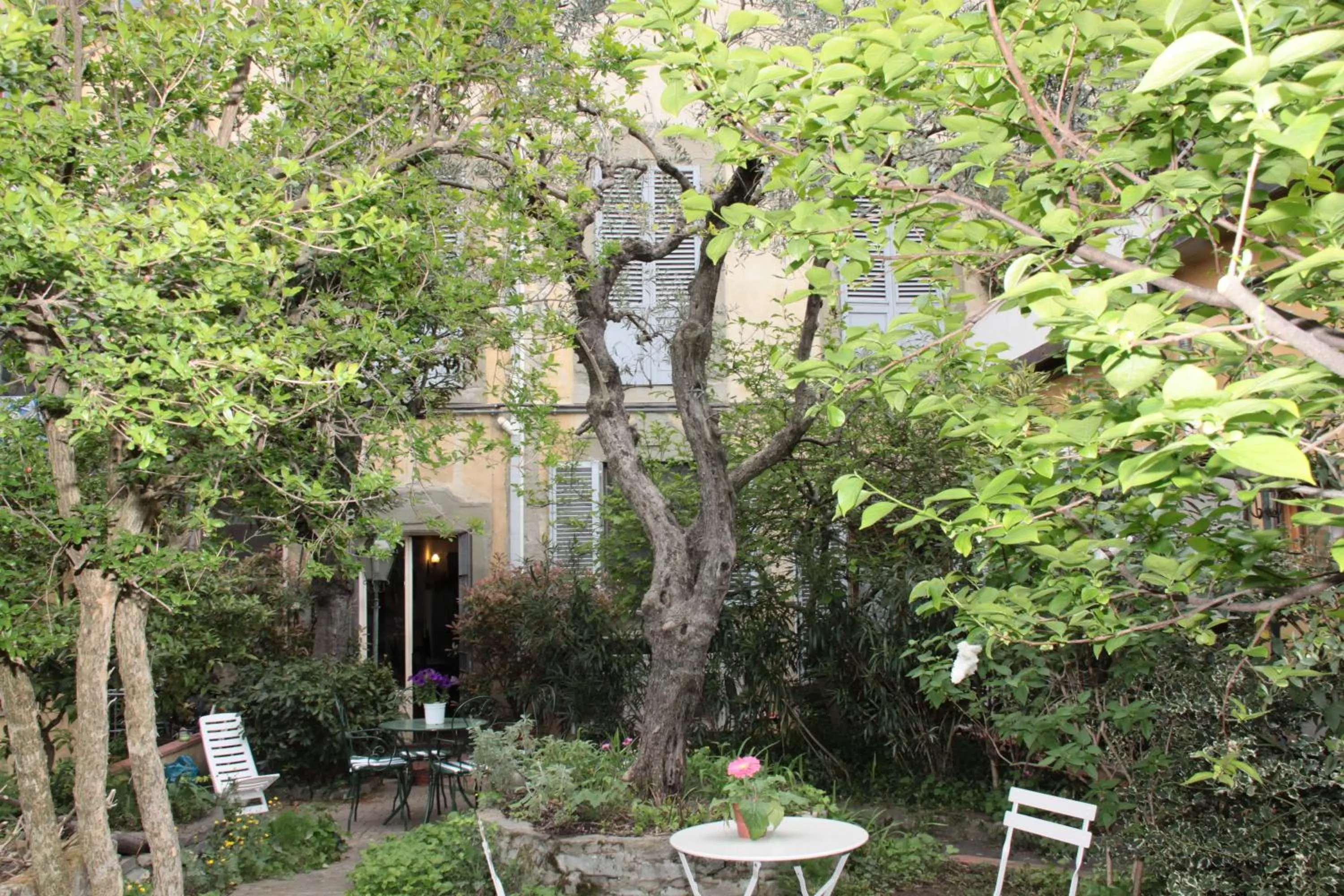 Garden in Domus Giorgio