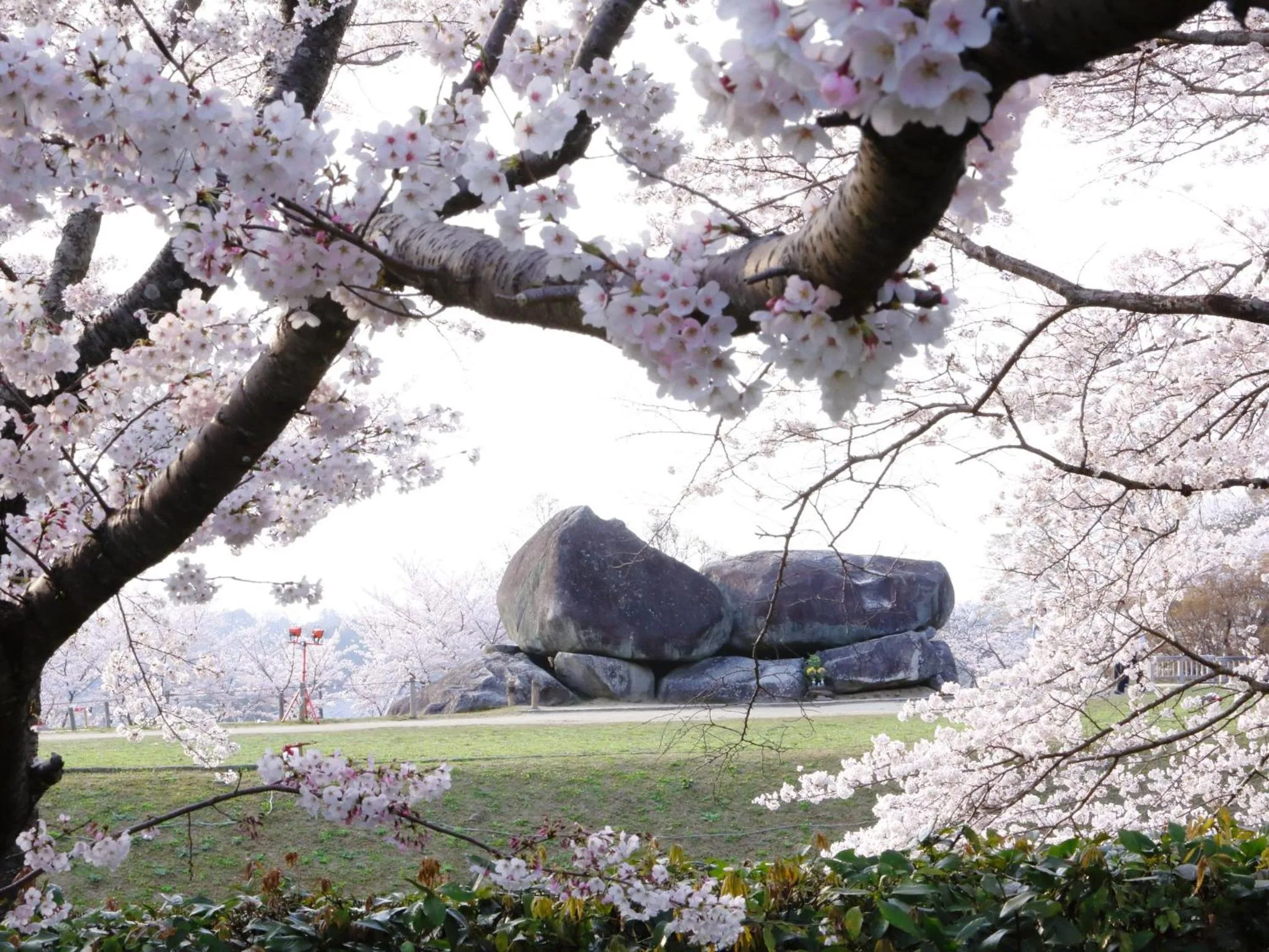 Nearby landmark in Hotel Nikko Nara