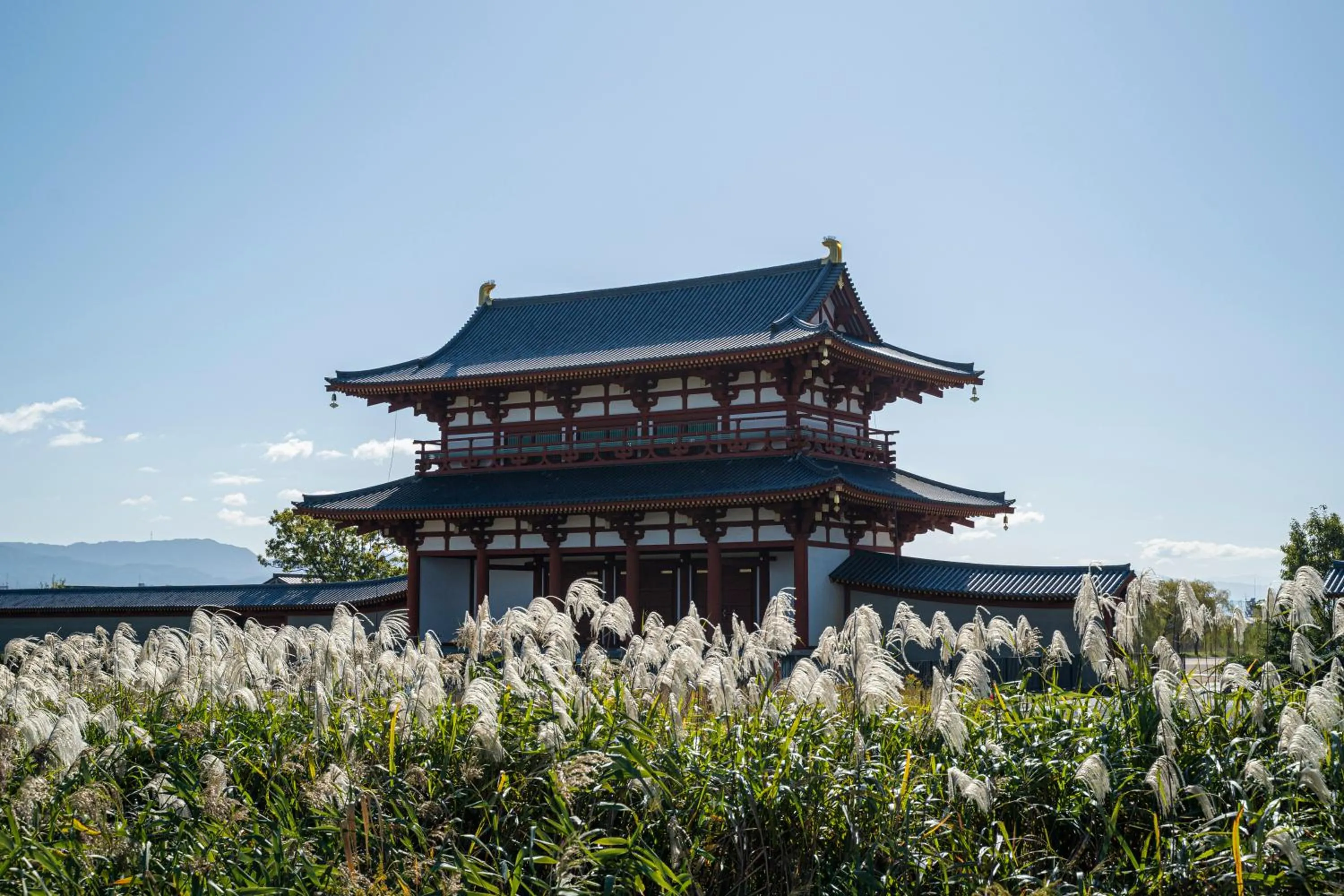Nearby landmark in Hotel Nikko Nara
