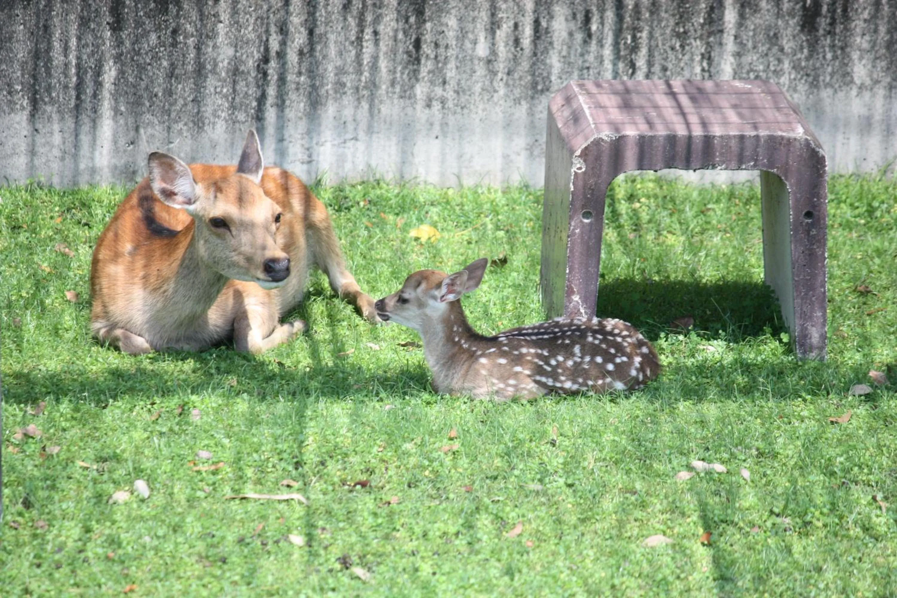 Nearby landmark in Hotel Nikko Nara