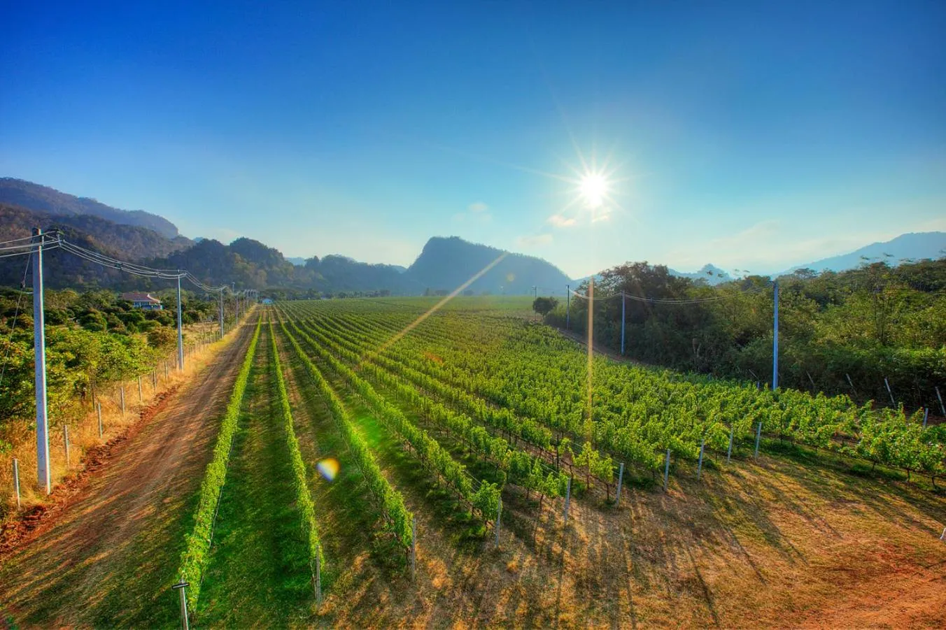 GRANMONTE Wine Cottage