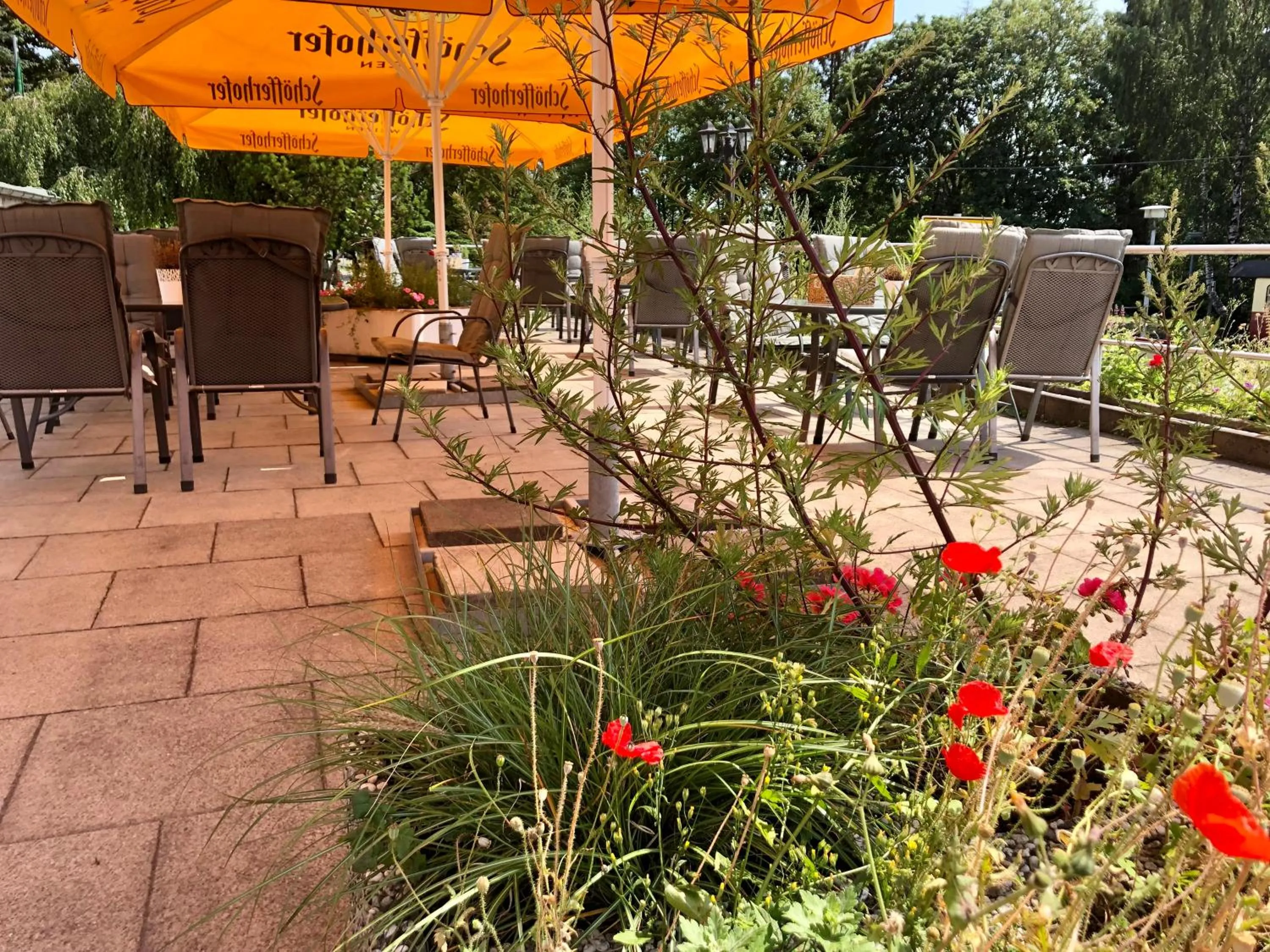 Restaurant/places to eat in Hotel Der Kräuterhof