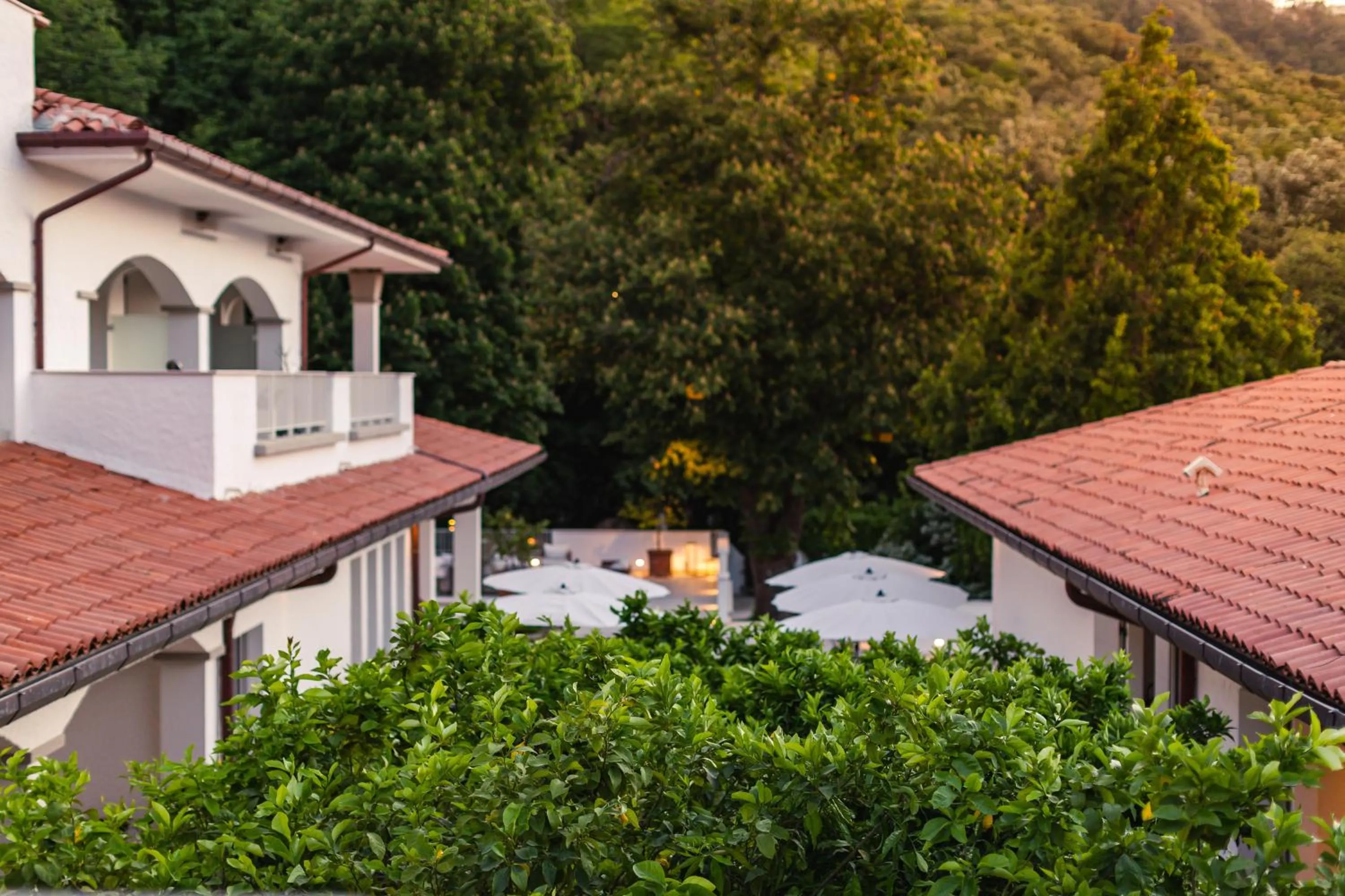 Natural landscape in SeeBay Hotel