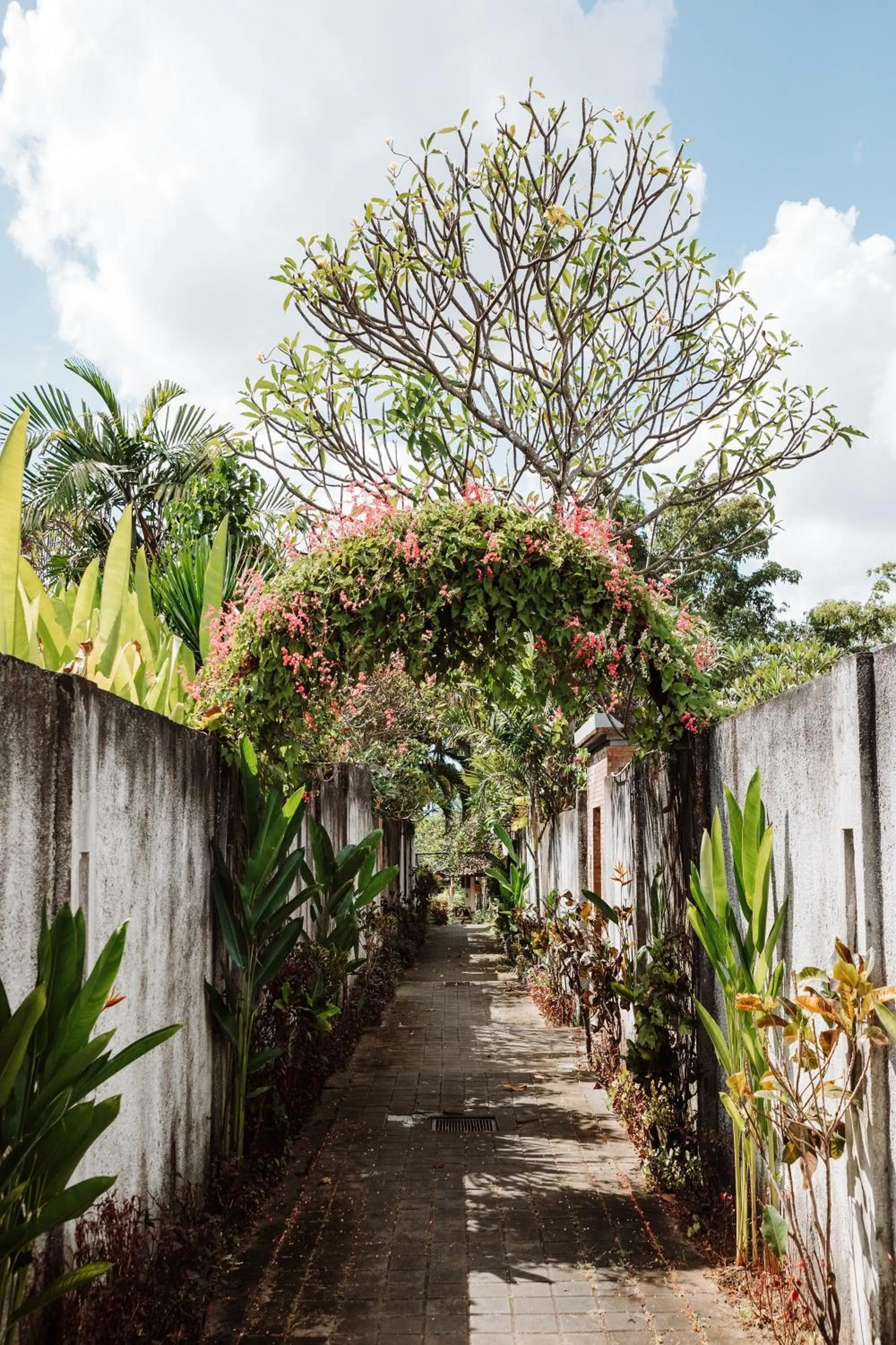 Garden view in Bali Merita Villa