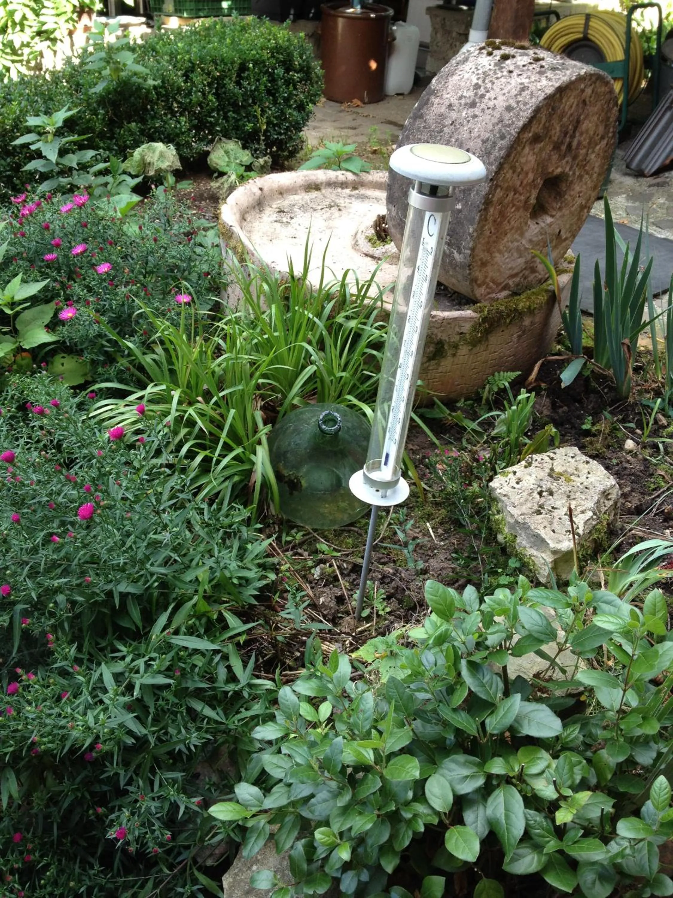 Garden in Logis Hôtel DOMAINE du MOULIN