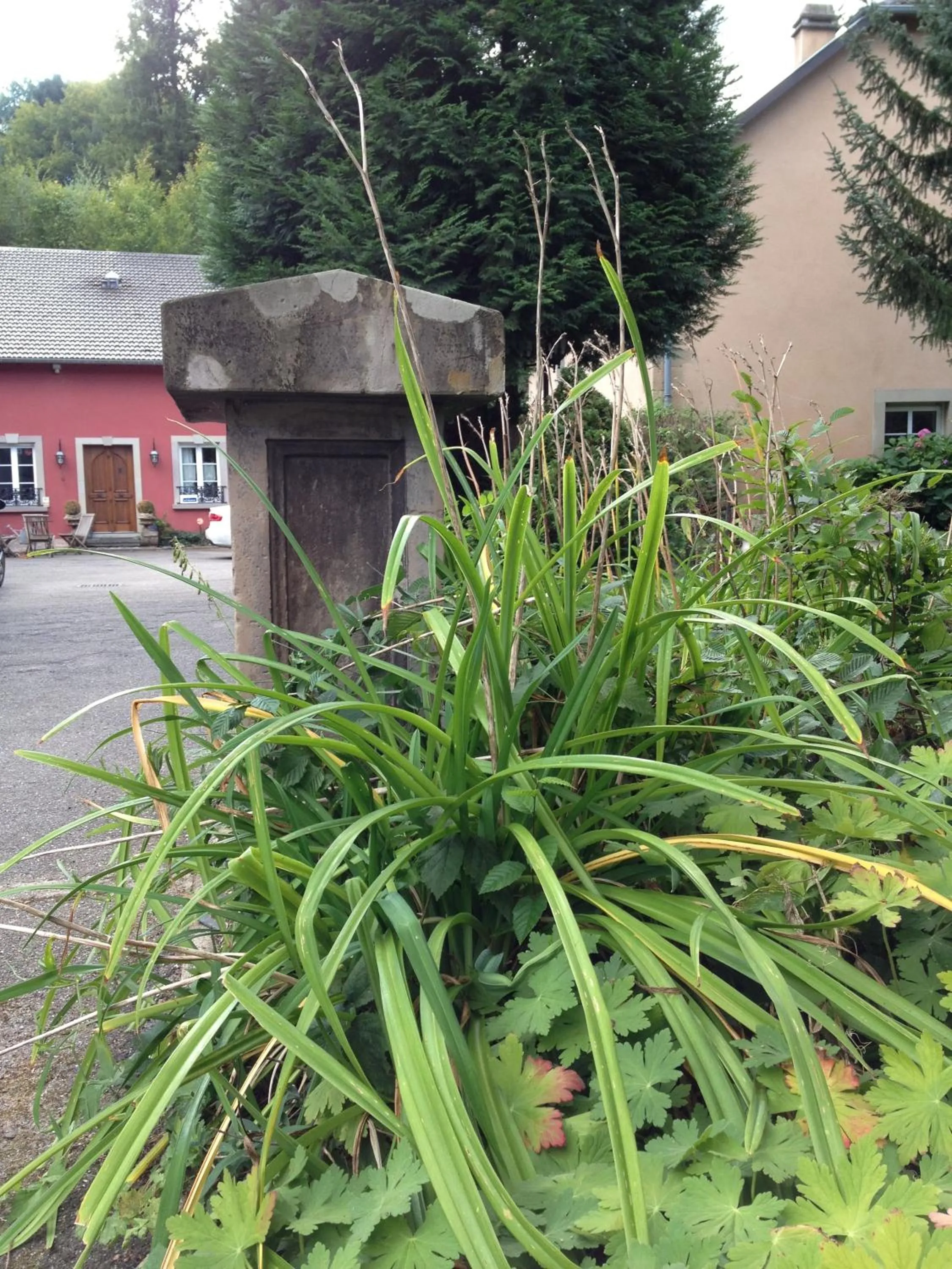 Facade/entrance in Logis Hôtel DOMAINE du MOULIN