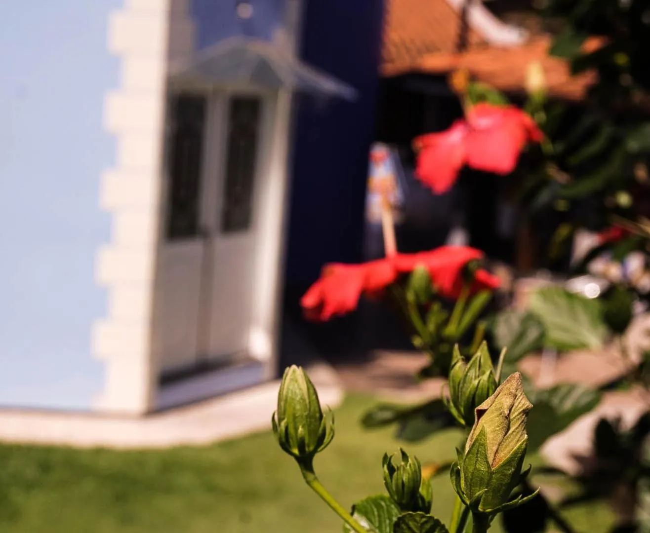 Property building in Suite Queen D'Arte