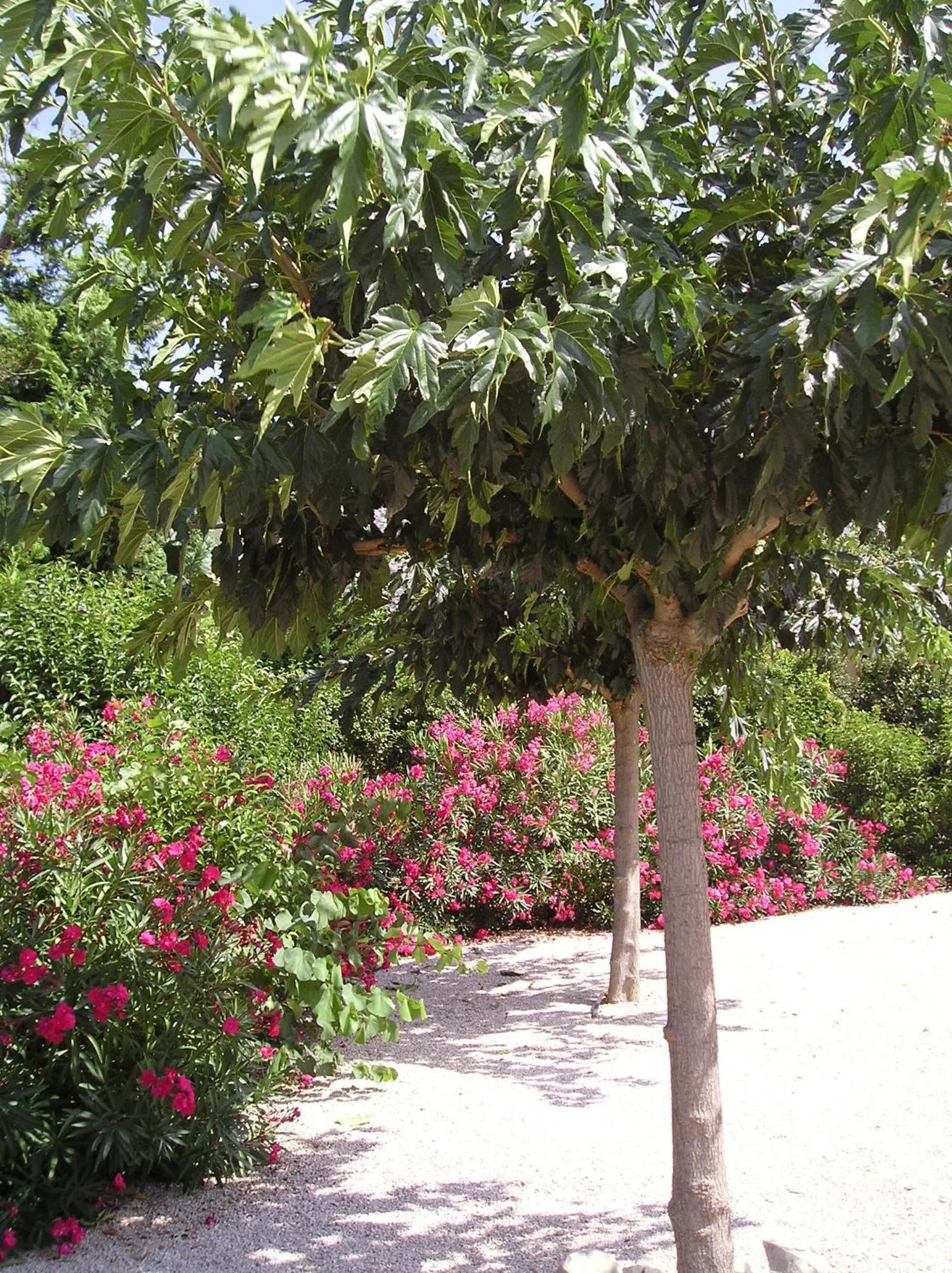 Area and facilities in Contact Hôtel Le Provence