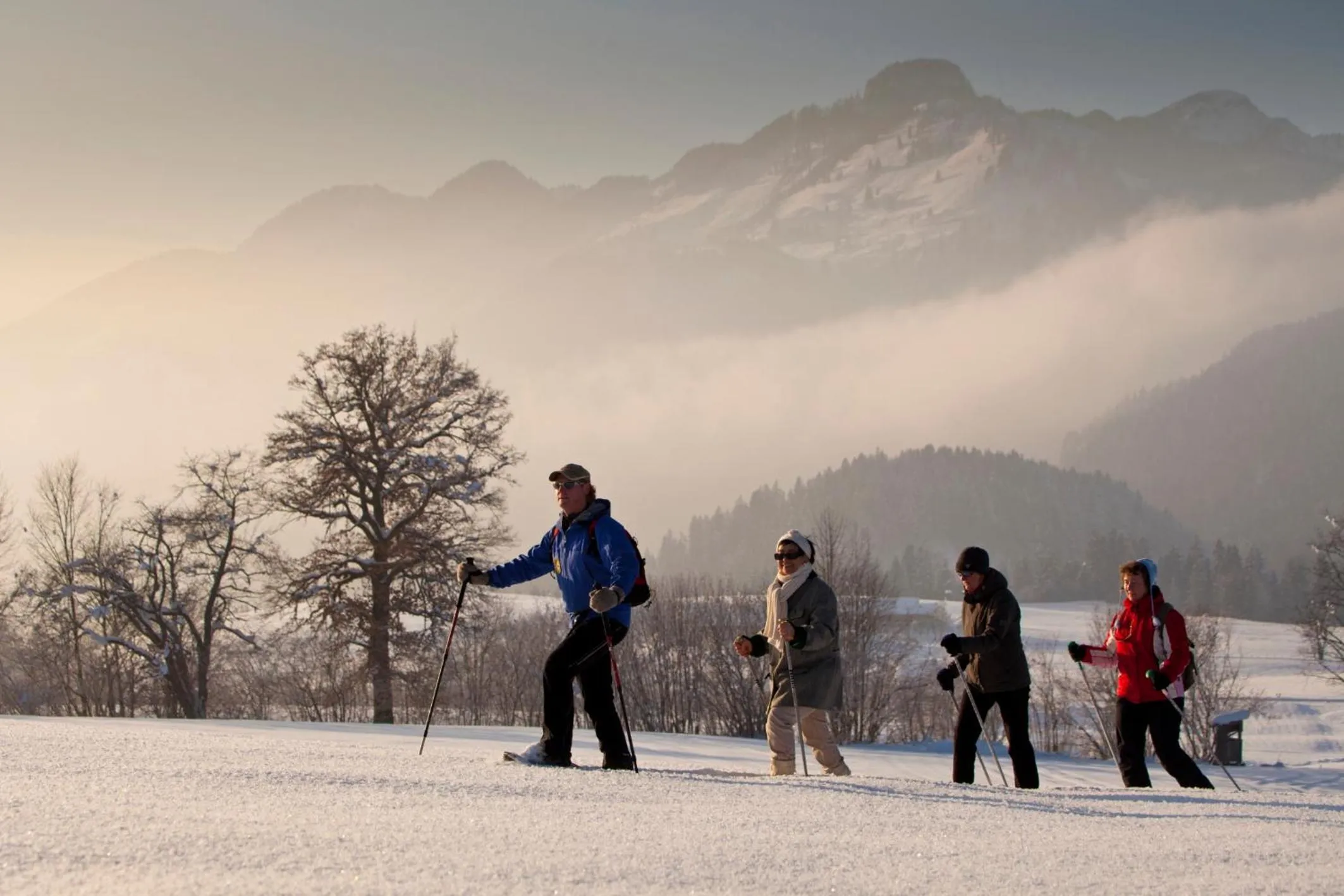 Activities in Hotel Garni Tirol