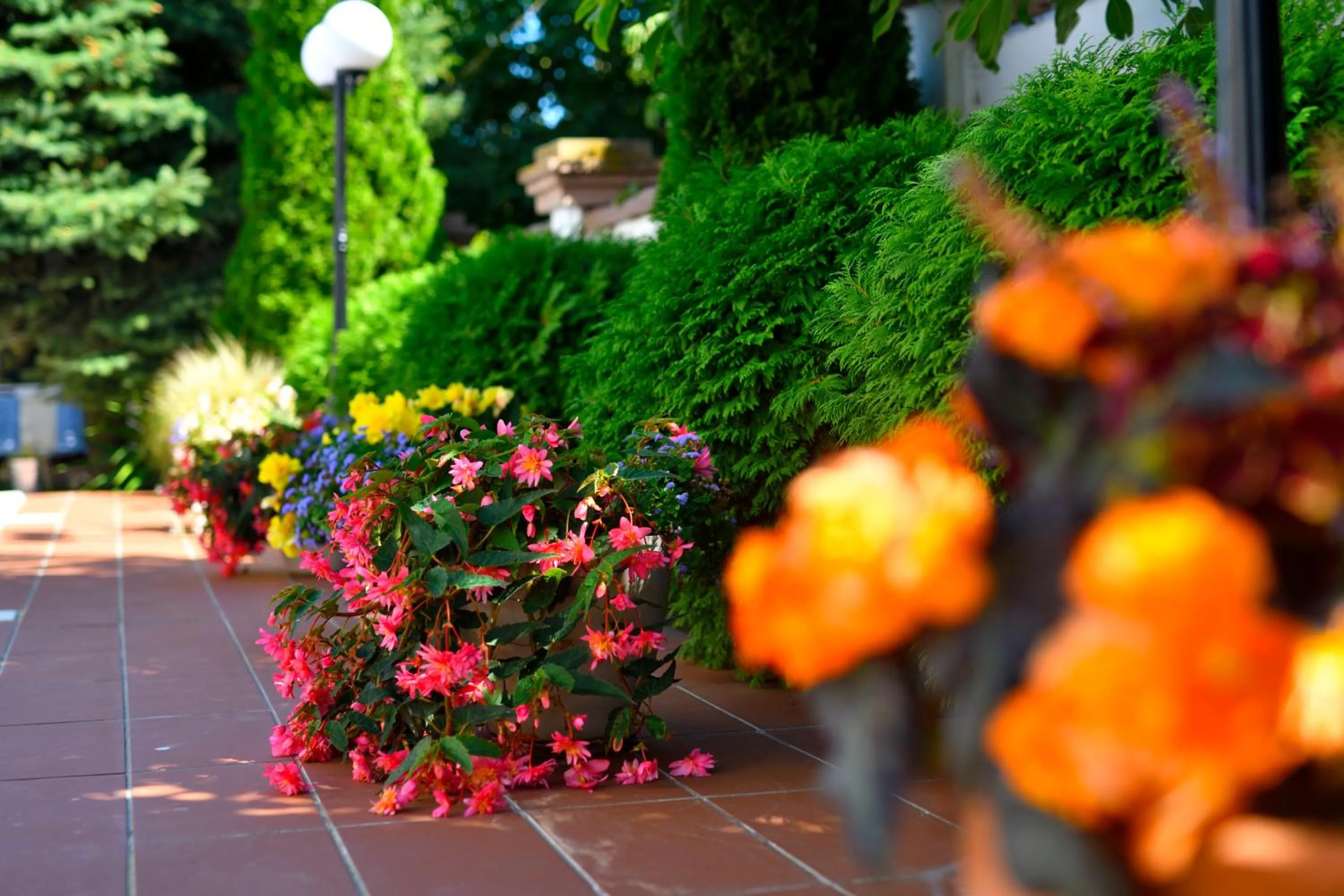 Alekta Hotel - Free Parking