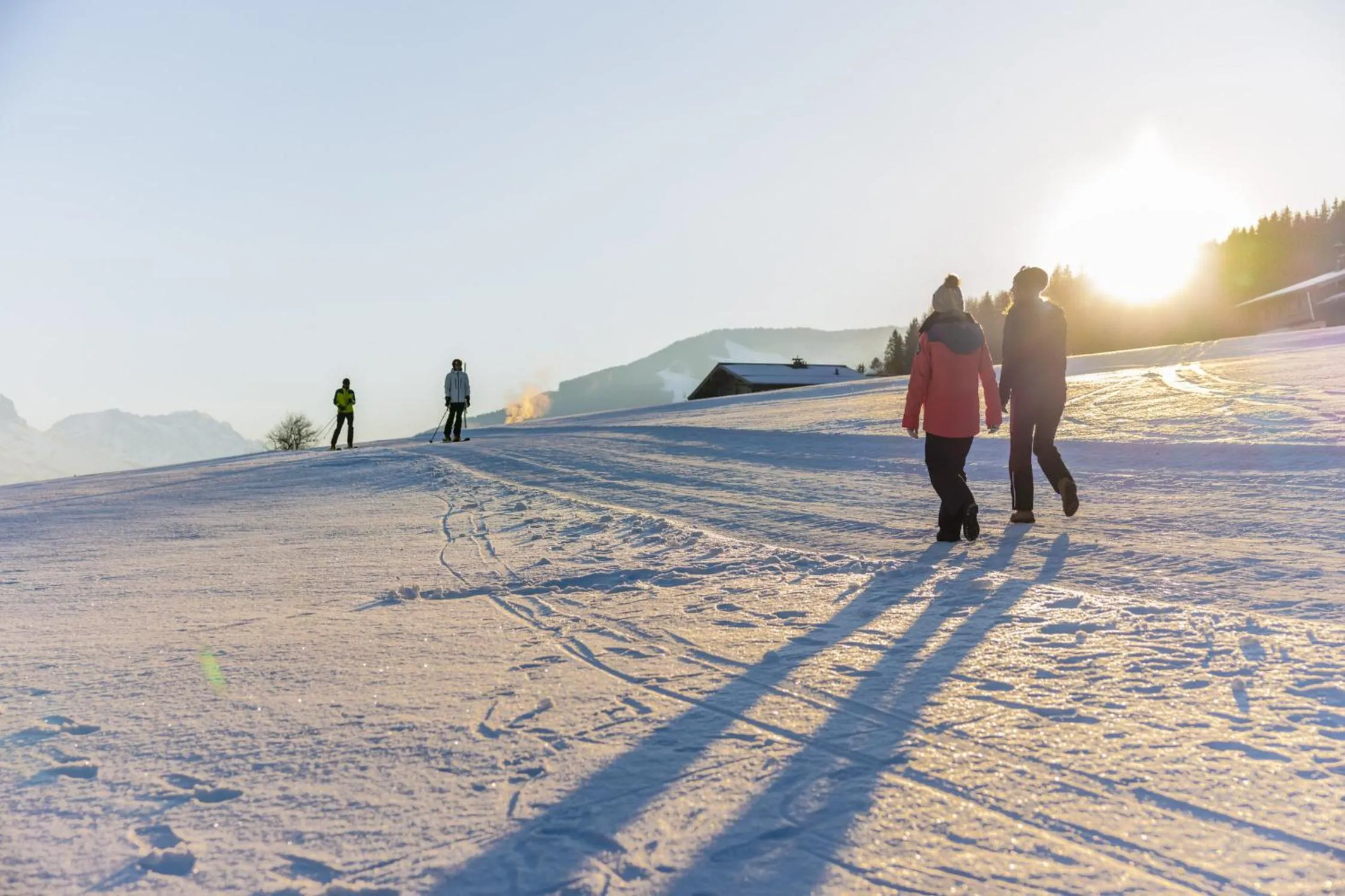 Natural landscape in Hotel Riederalm