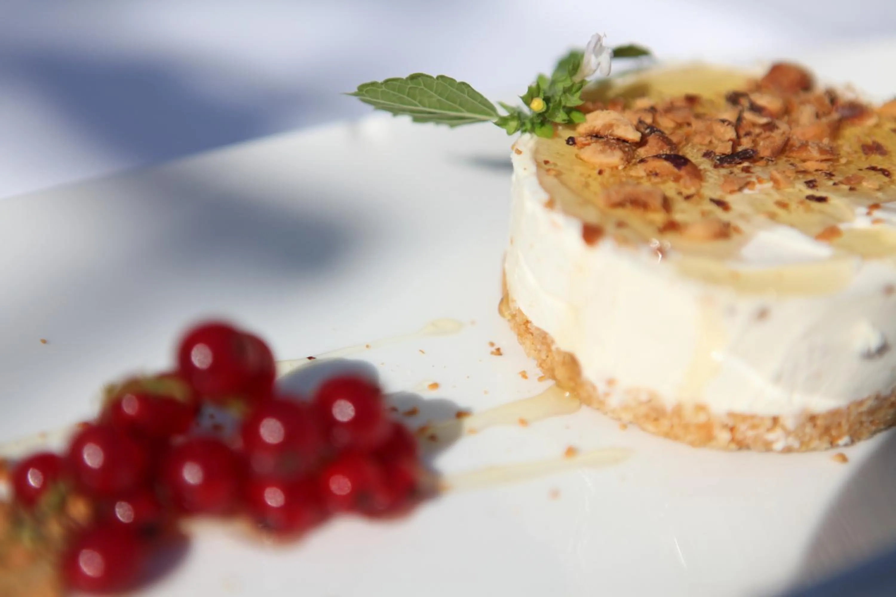 Food and drinks in Guest House Stancija Kovacici