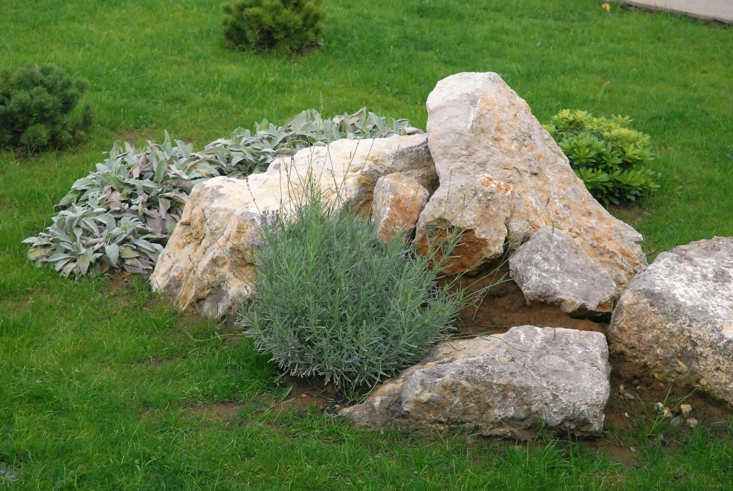 Garden in Guest House Stancija Kovacici