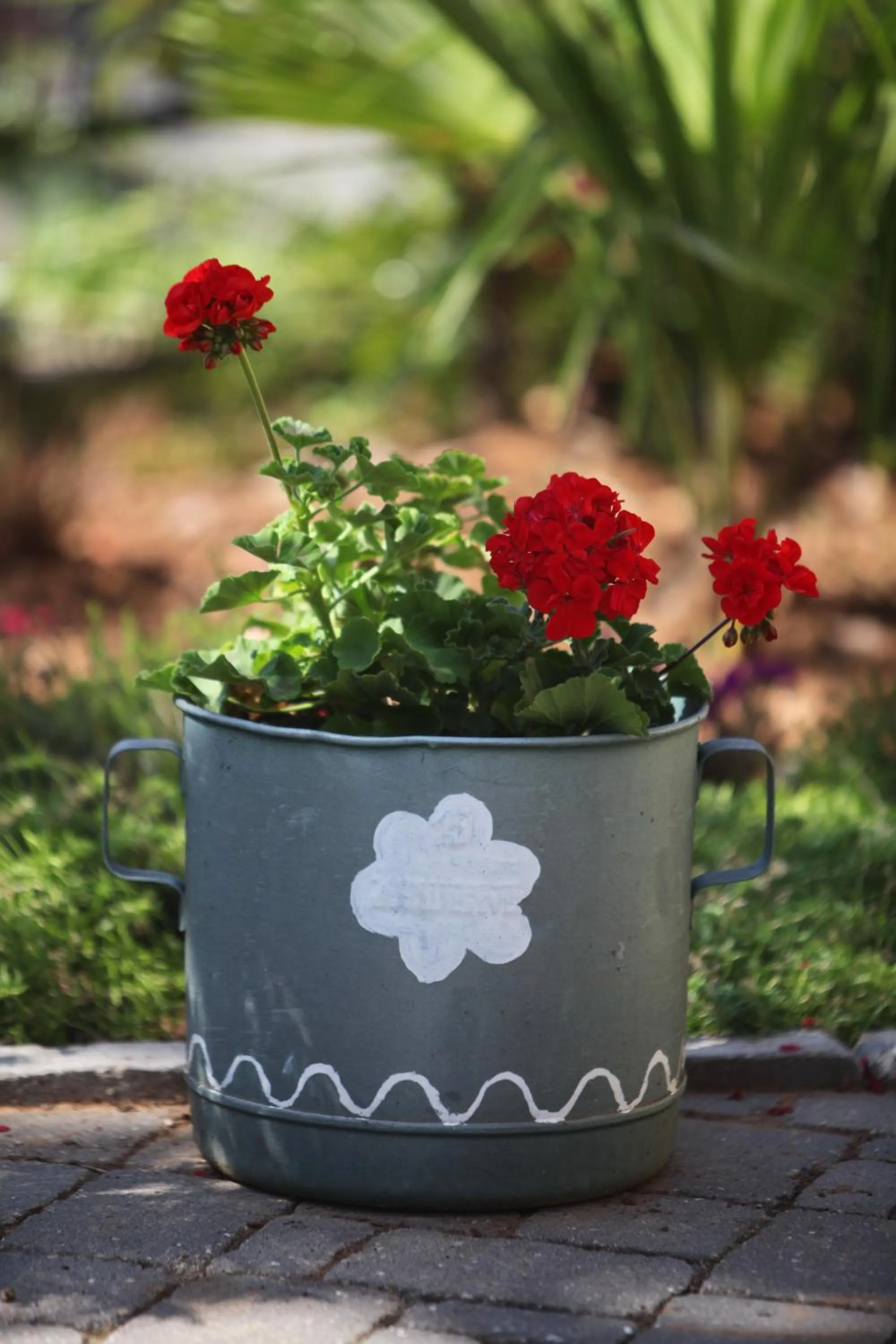 Garden in Guest House Stancija Kovacici