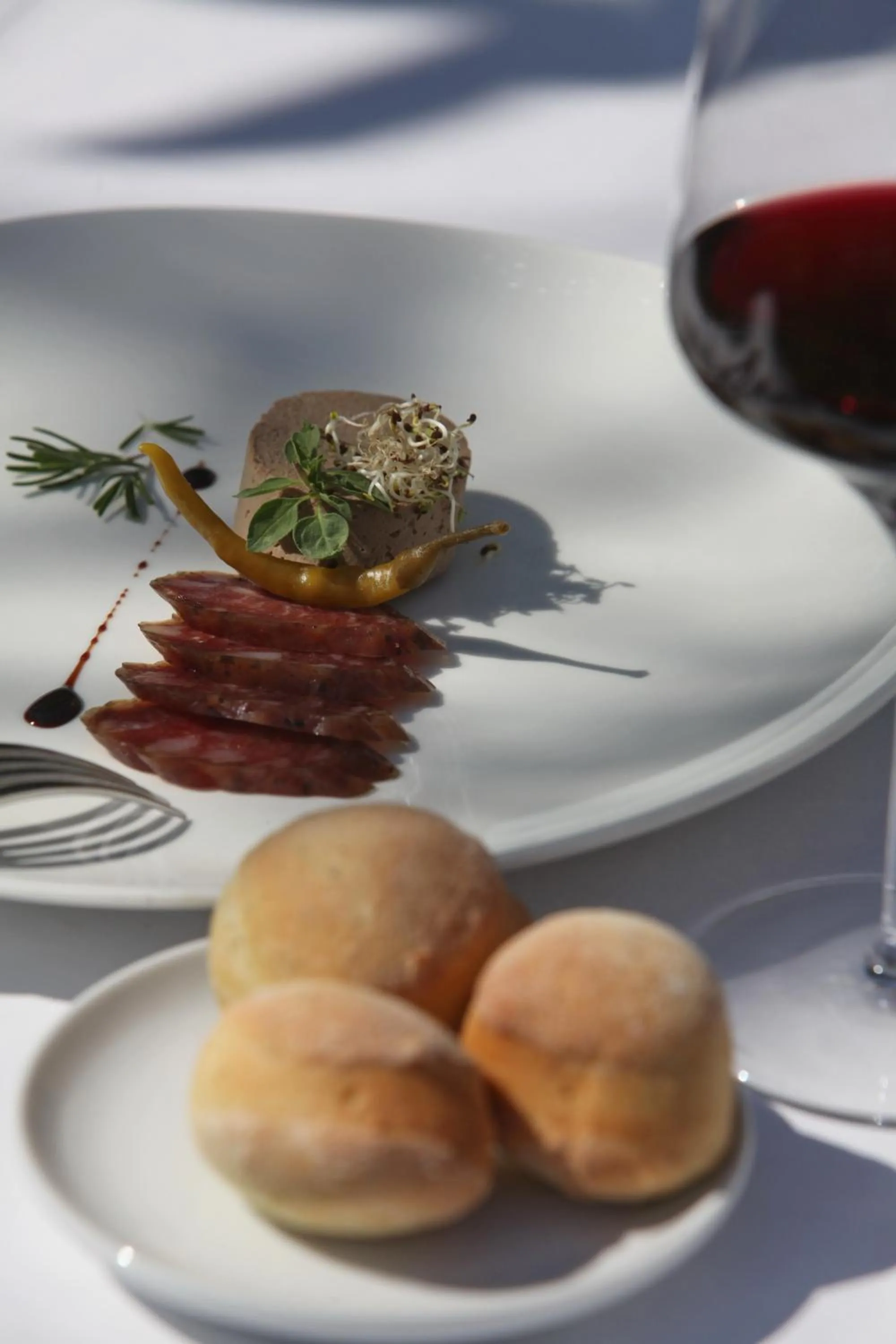 Food and drinks in Guest House Stancija Kovacici