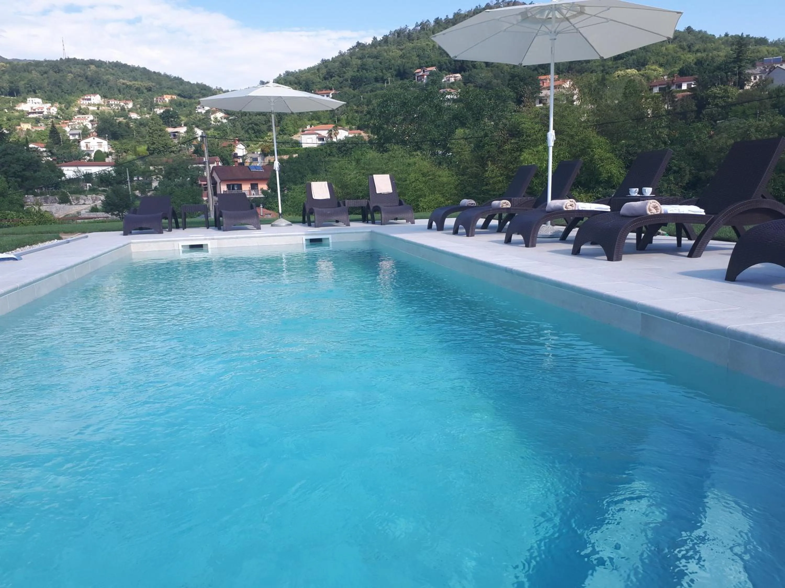 Swimming pool in Guest House Stancija Kovacici