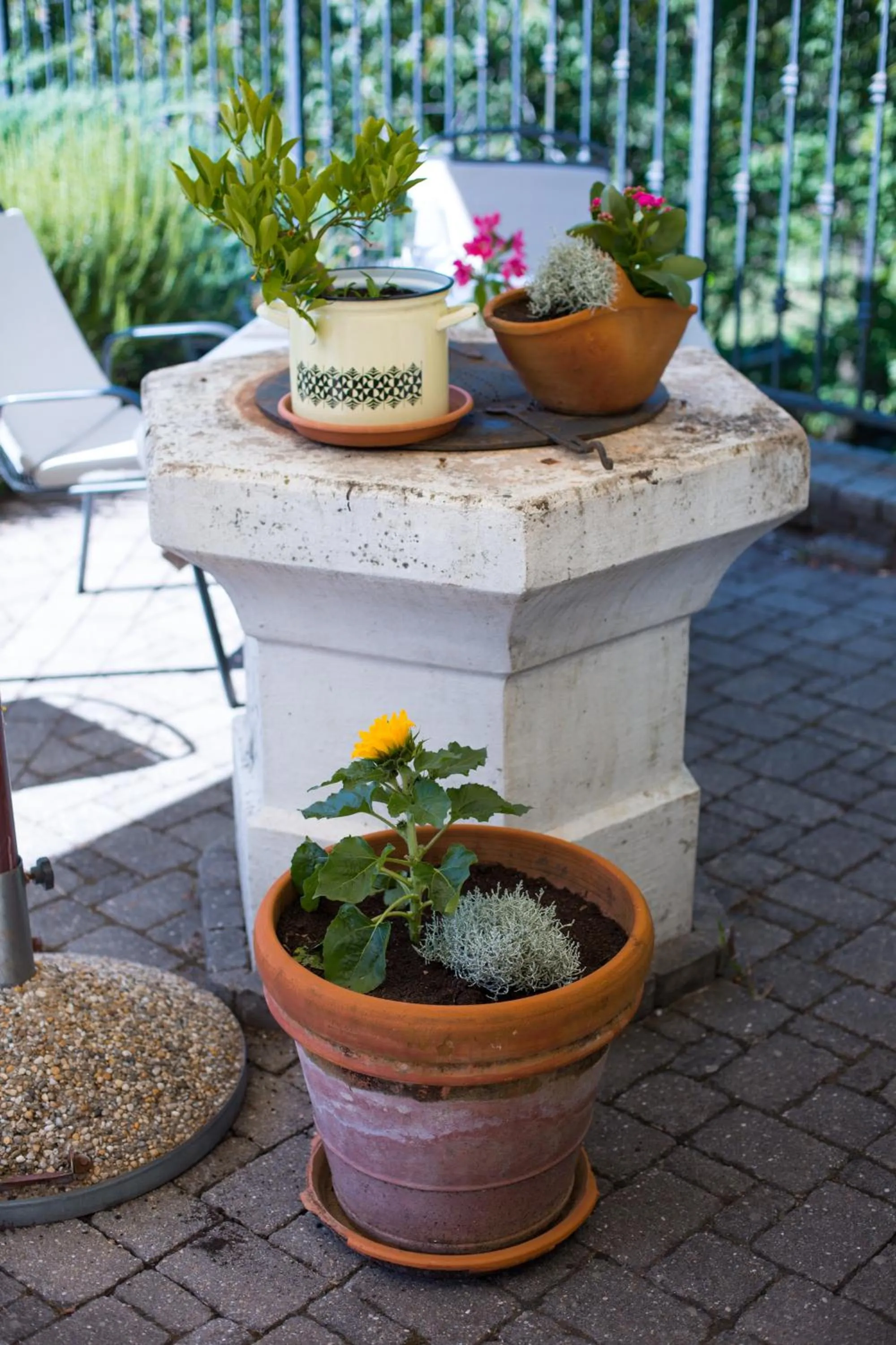 Patio in Guest House Stancija Kovacici