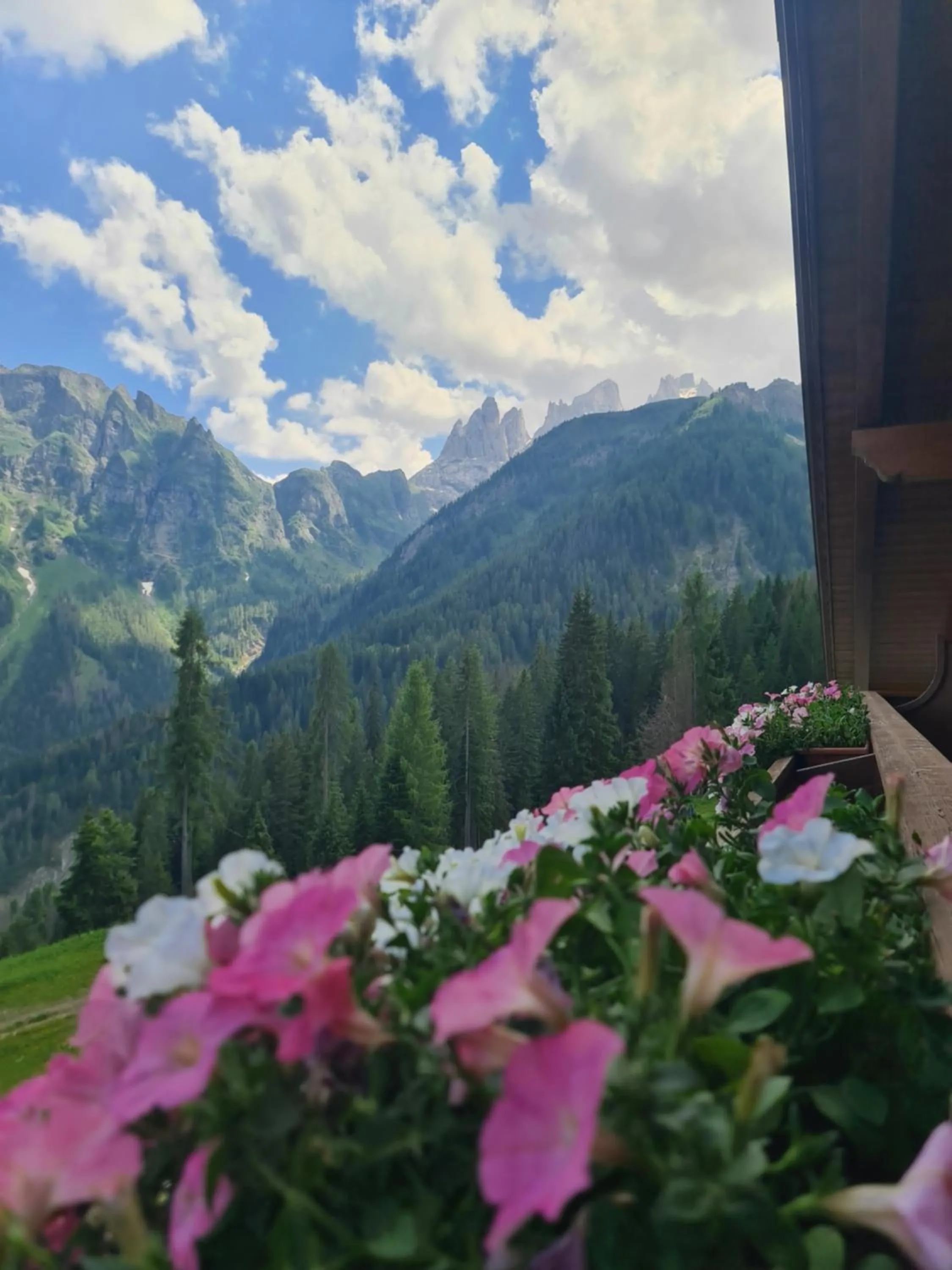 Property building in Residence Panorama