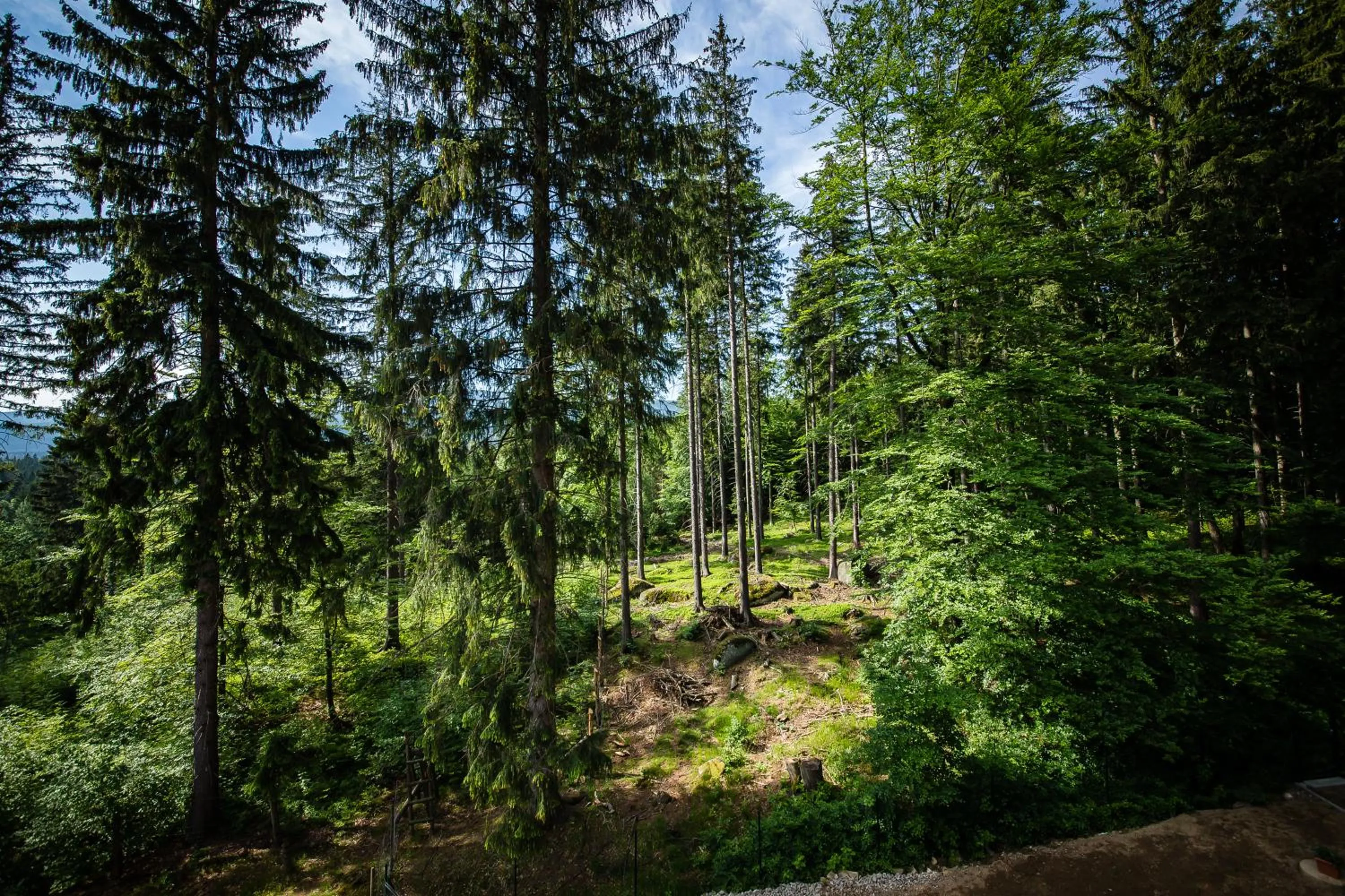 View (from property/room) in Villa Obis