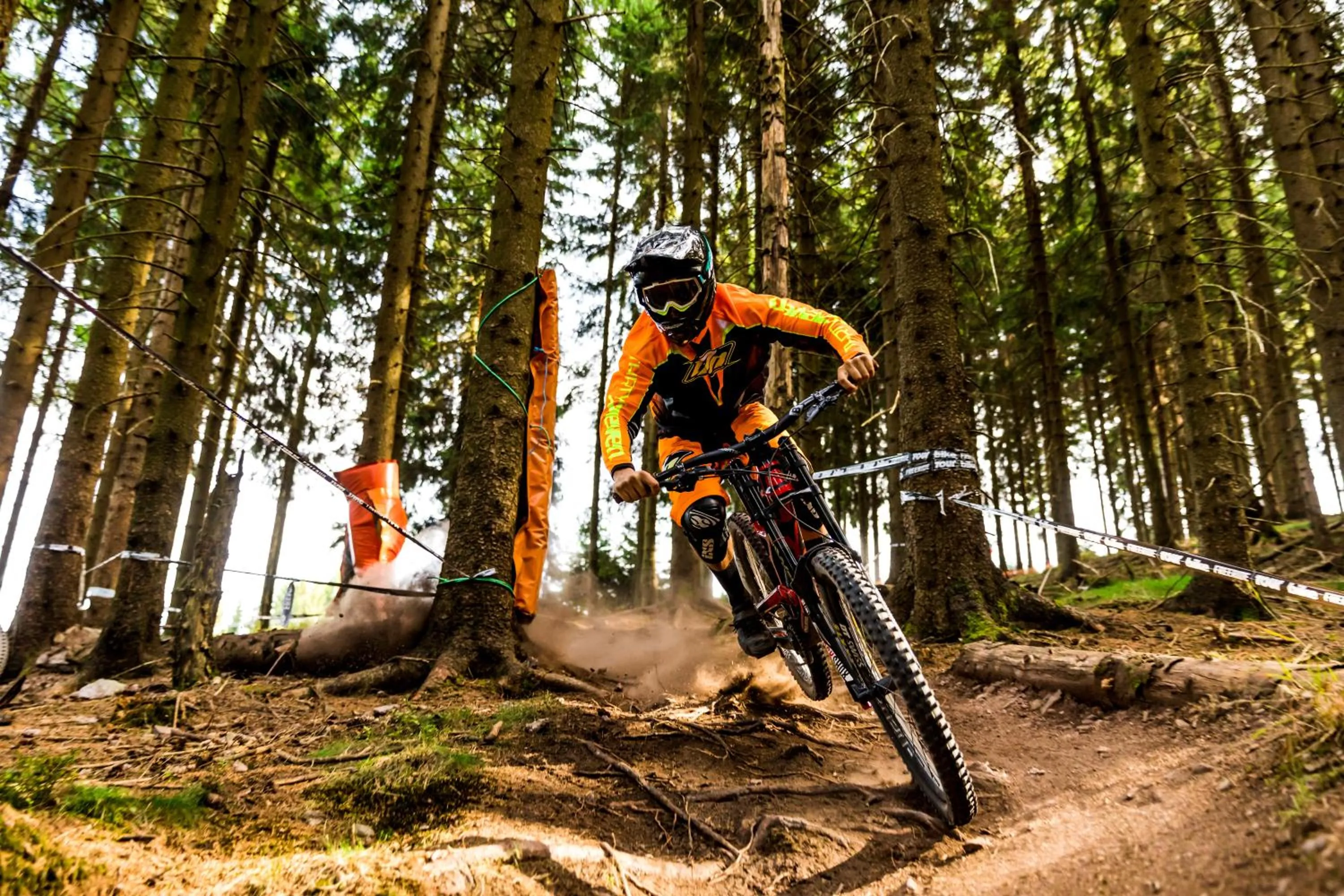 Cycling in Konsum Gästehaus Quisisana - Oberhof