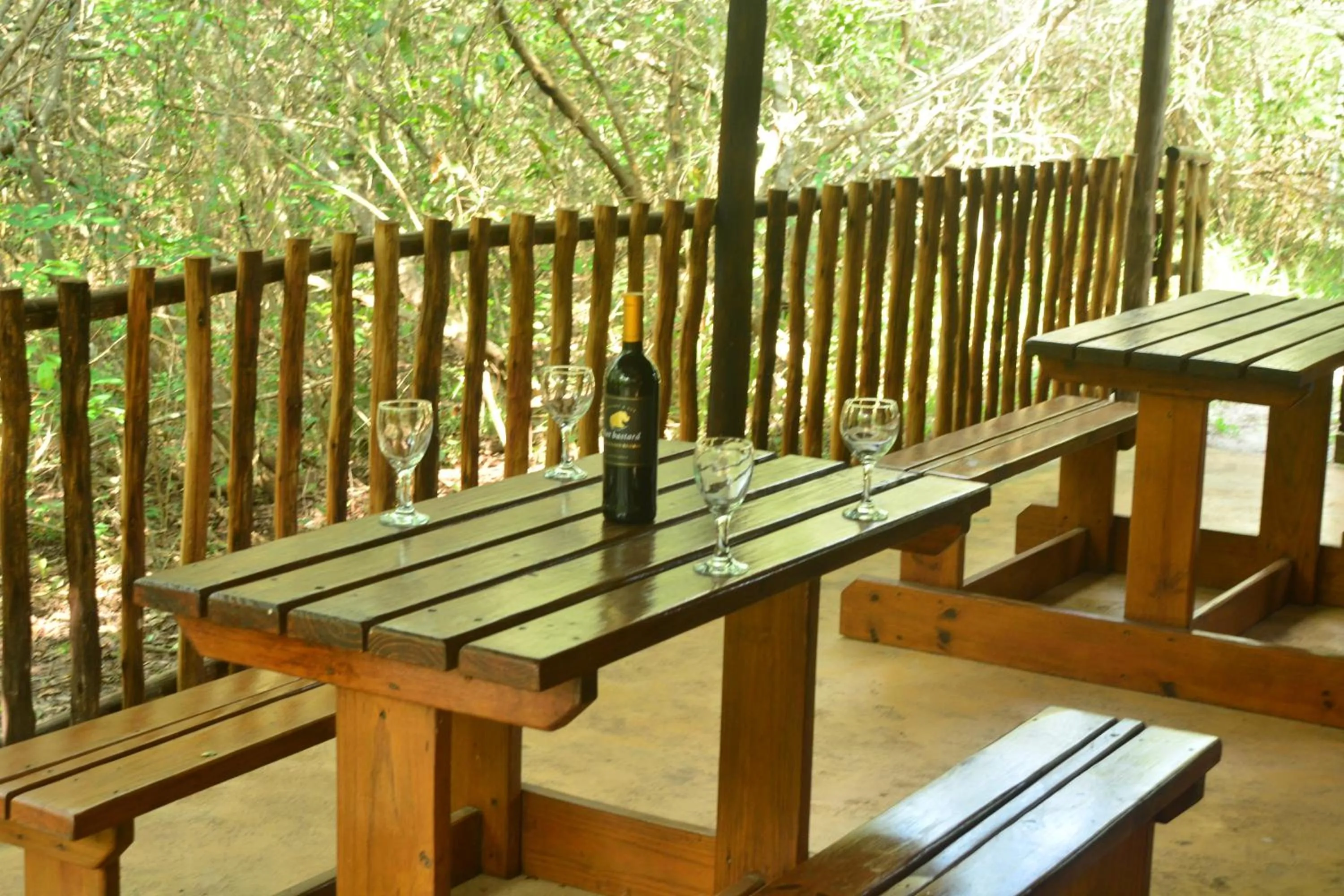 Toad Tree Cabins