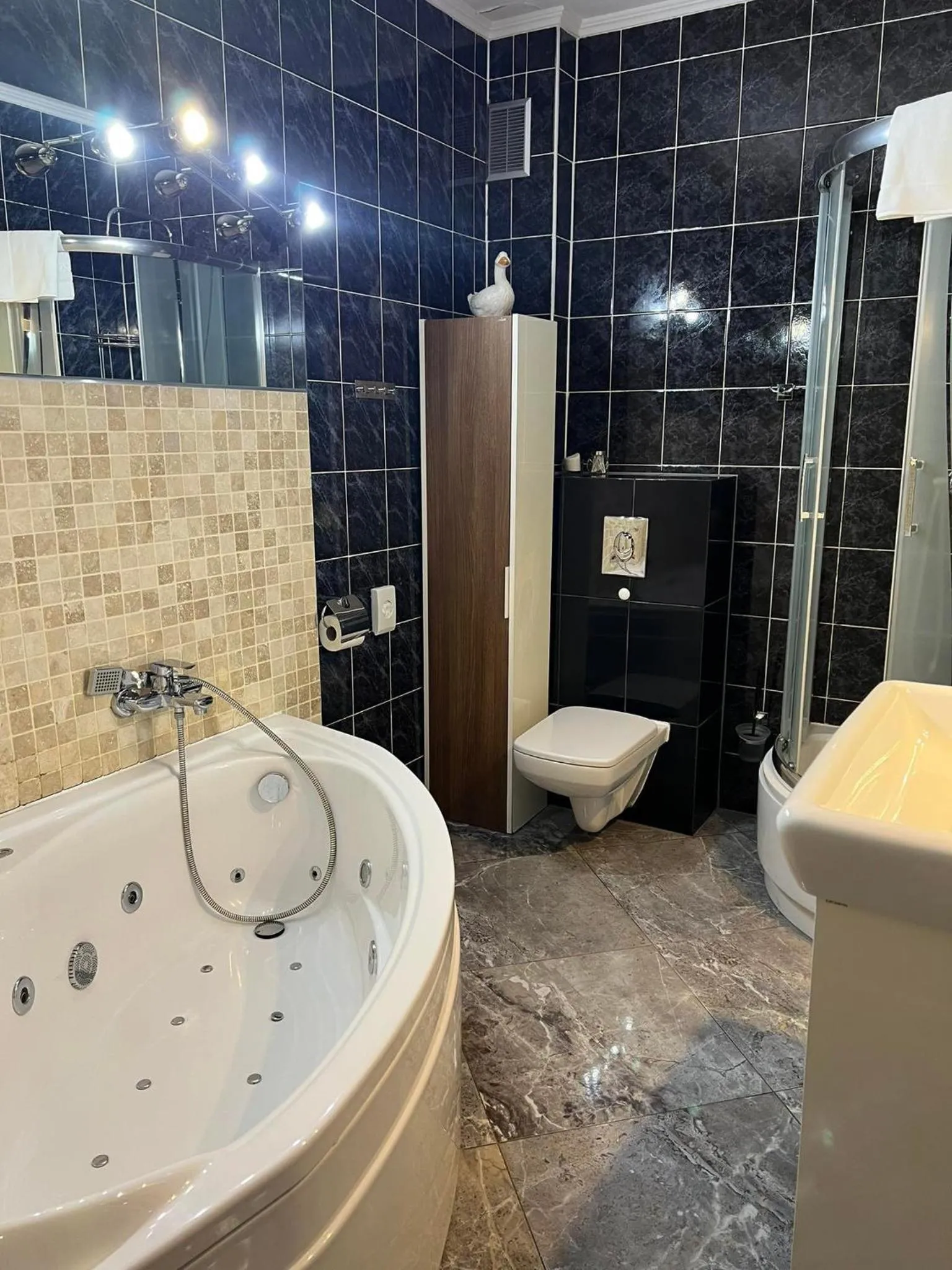 Hotel Kormoran Resort & SPA