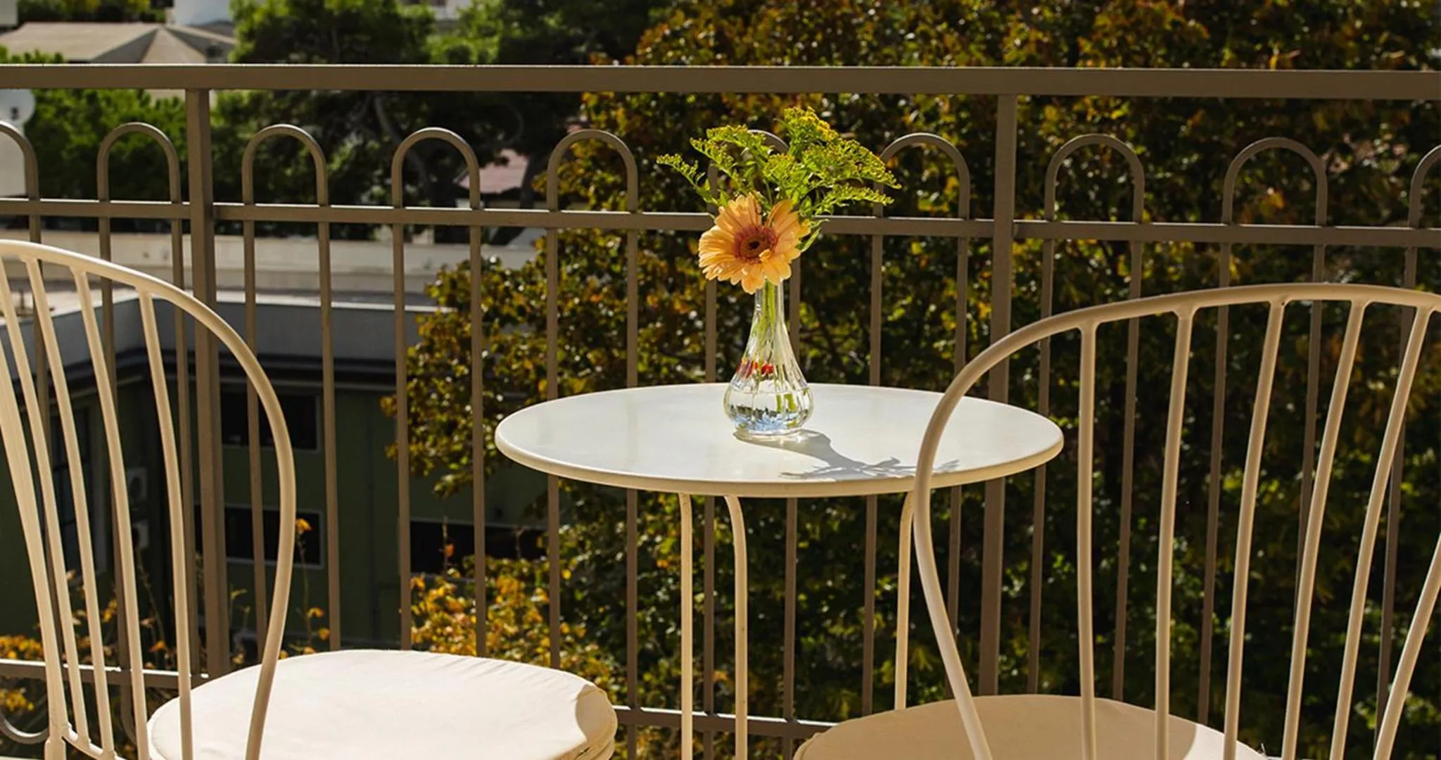 Balcony/Terrace in Hotel Stella
