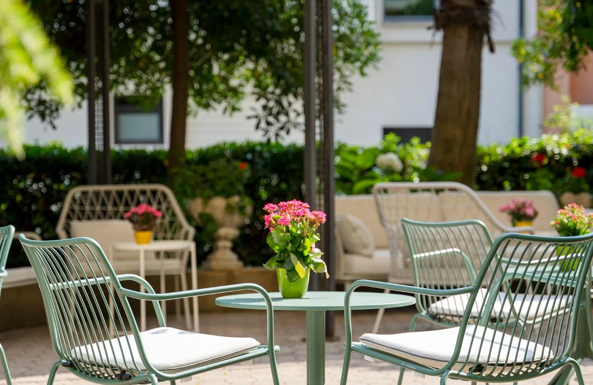 Garden in Hotel Stella