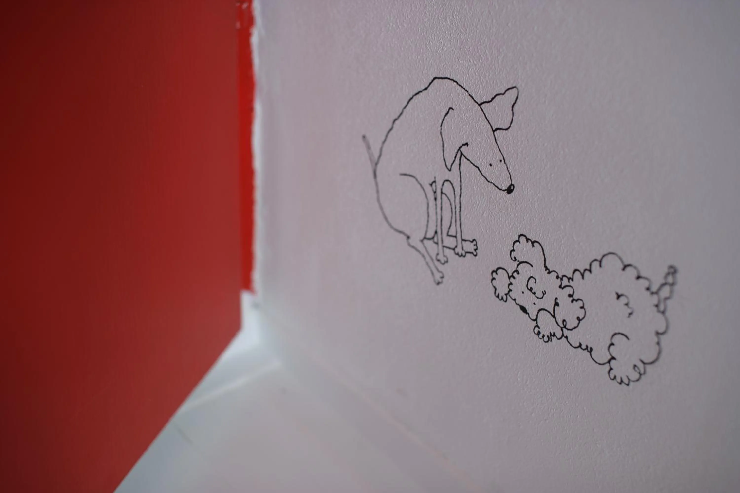 Decorative detail in Houses of Motovun