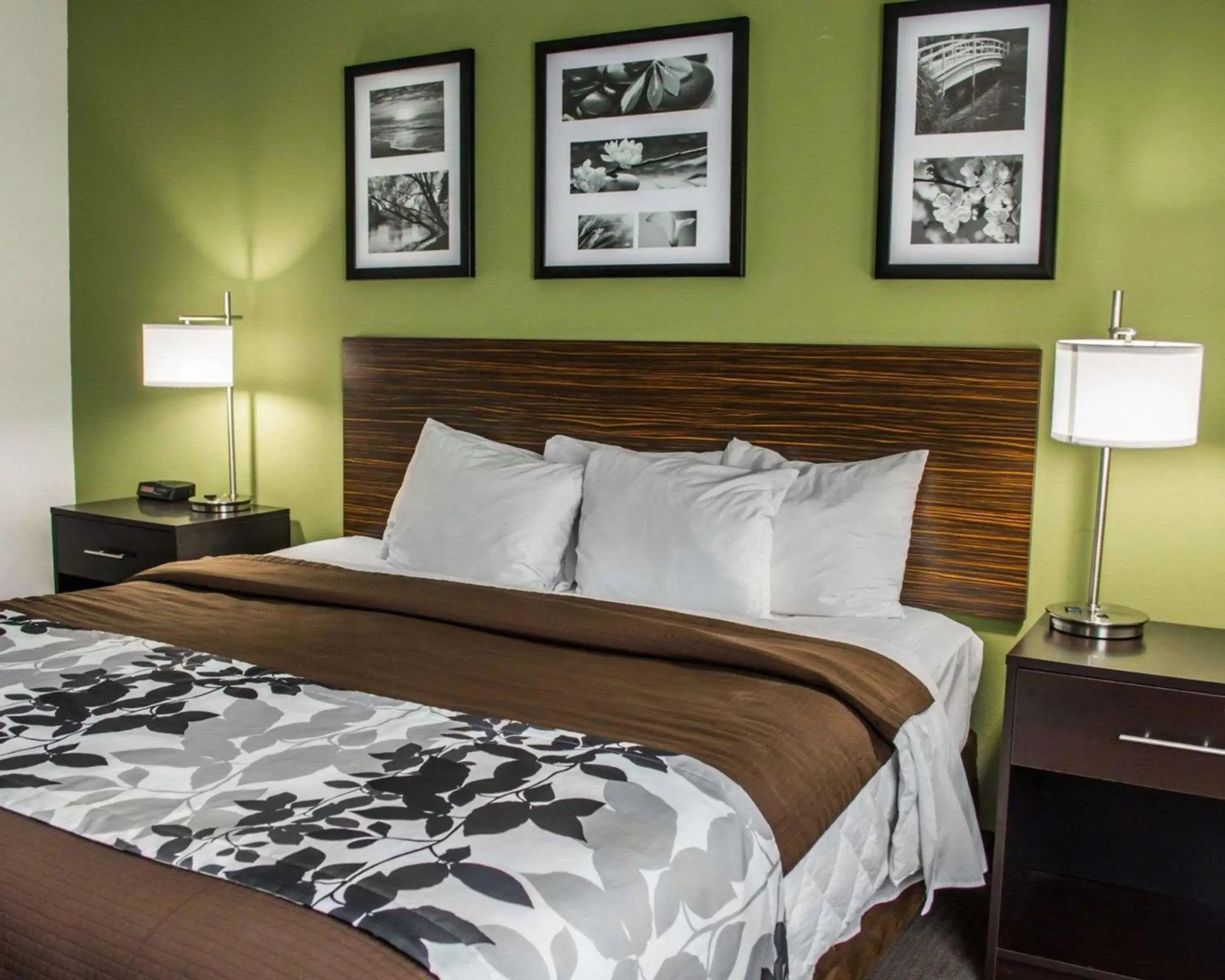 Bedroom, Bed in Sleep Inn Historic Bedroom, Bed in Sleep Inn Historic