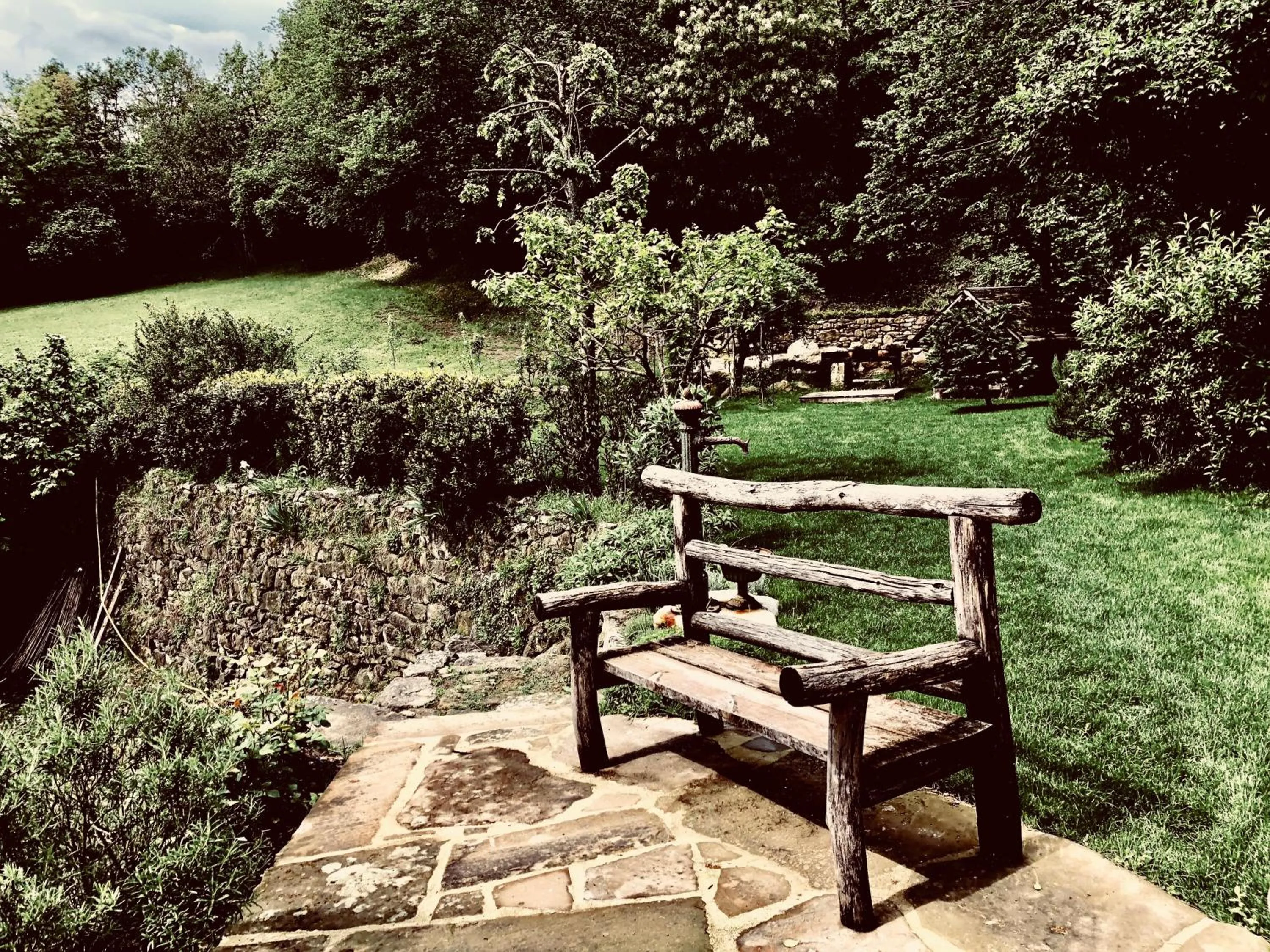 Pippo's Little Resort