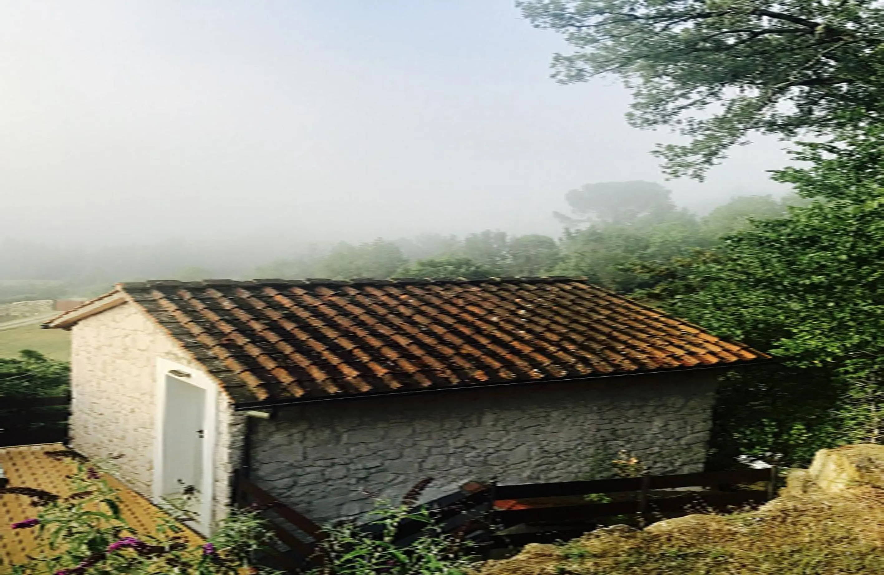 Pippo's Little Resort