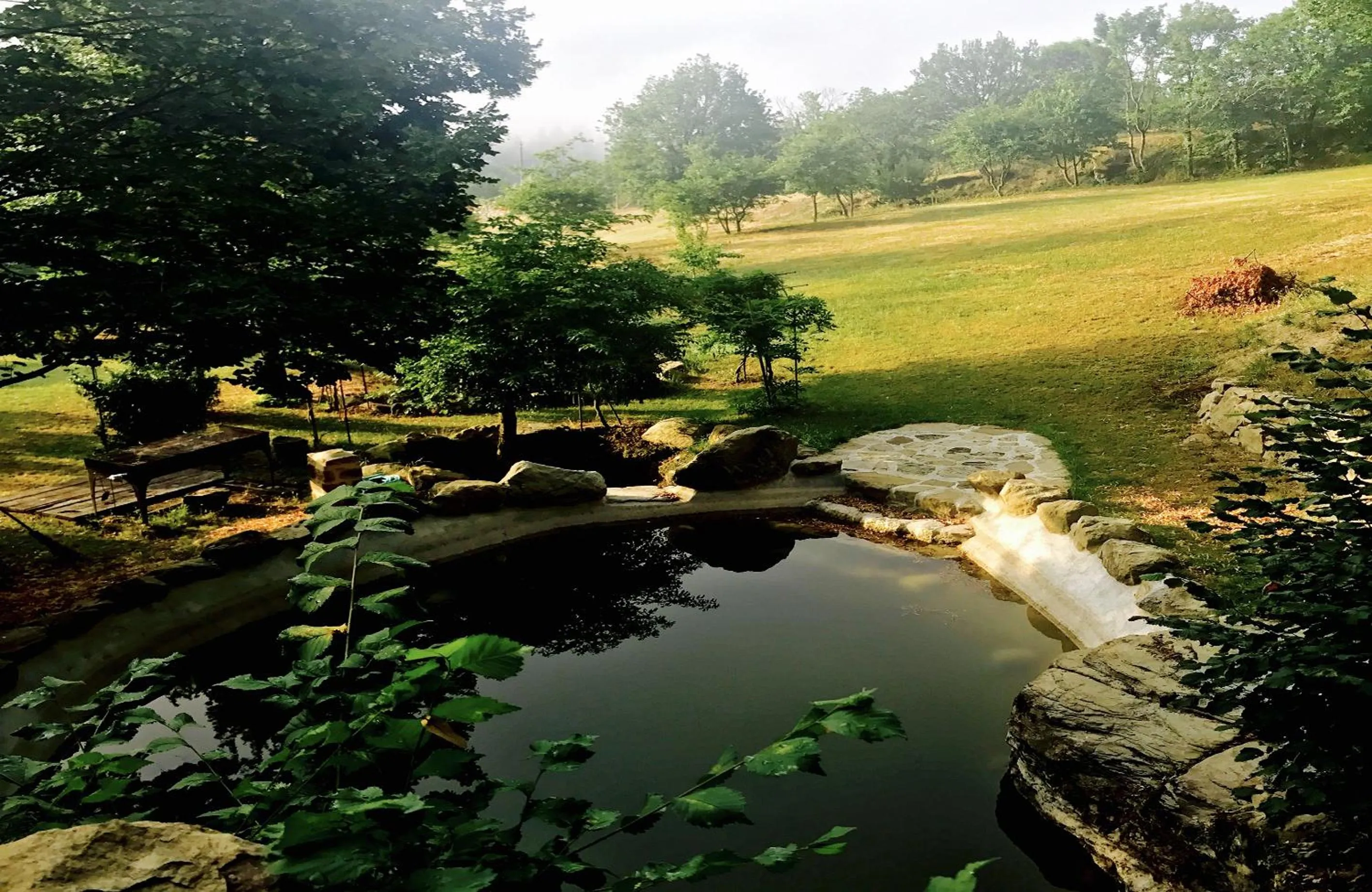 Pippo's Little Resort